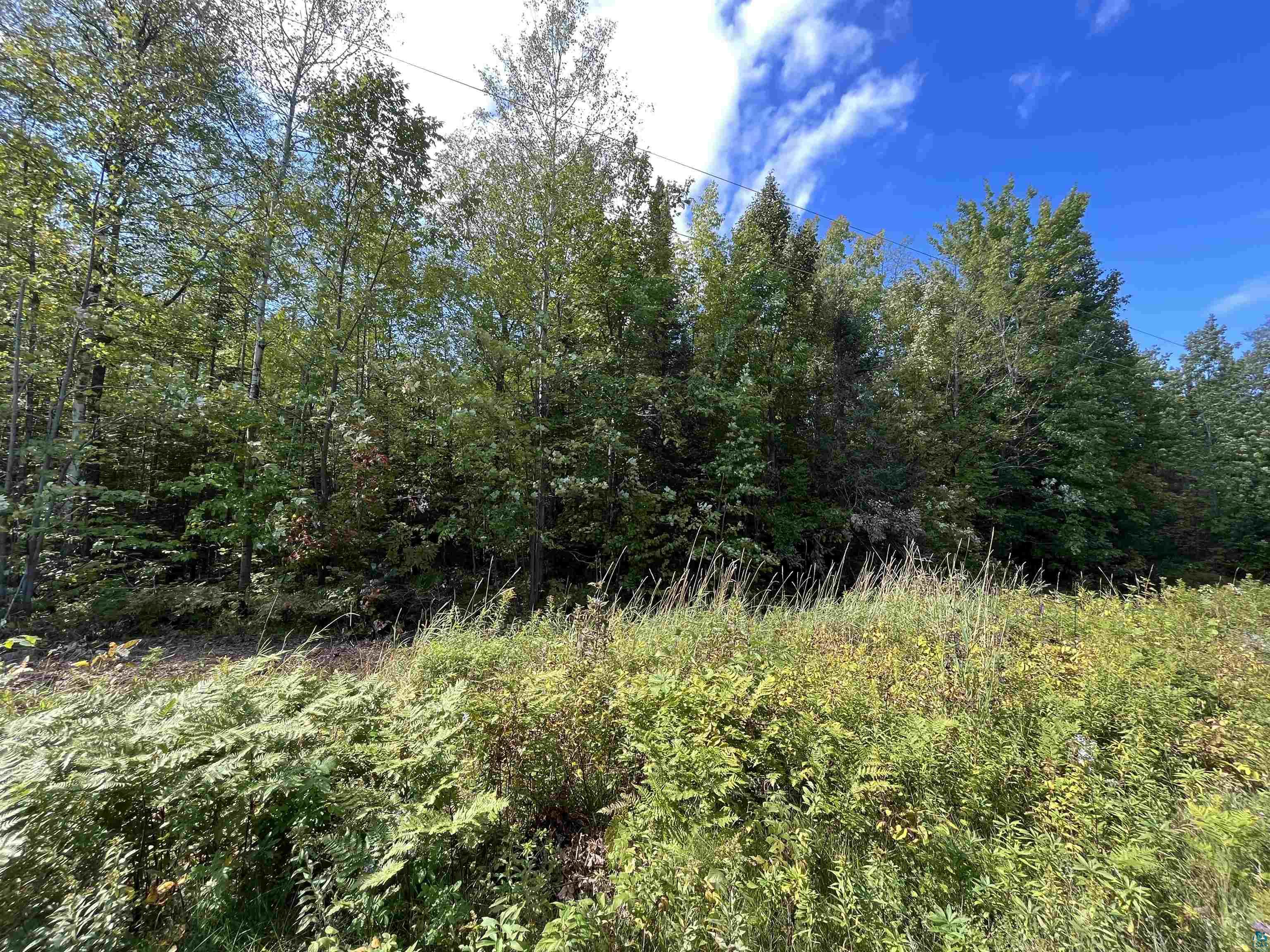 86335 County Hwy C Cornucopia WI 54827 6110688 image1