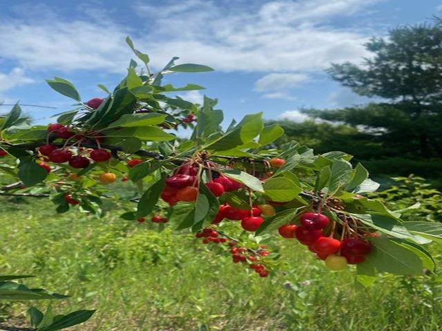 86360 Meyers Olson Rd Bayfield WI 54814 6123486 image52