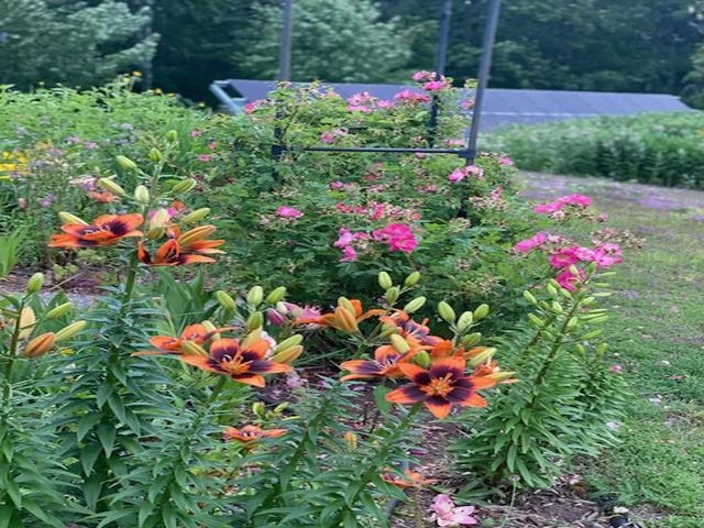 86360 Meyers Olson Rd Bayfield WI 54814 6123486 image56