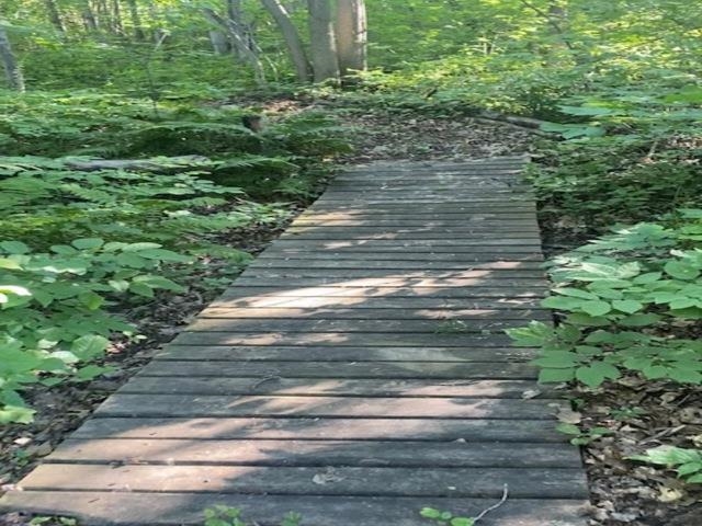 86360 Meyers Olson Rd Bayfield WI 54814 6123486 image61