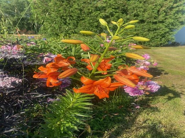 86360 Meyers Olson Rd Bayfield WI 54814 6123486 image63