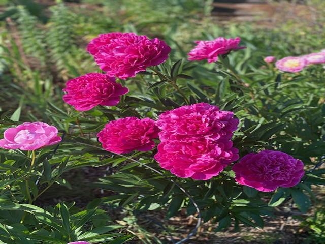 86360 Meyers Olson Rd Bayfield WI 54814 6123486 image64