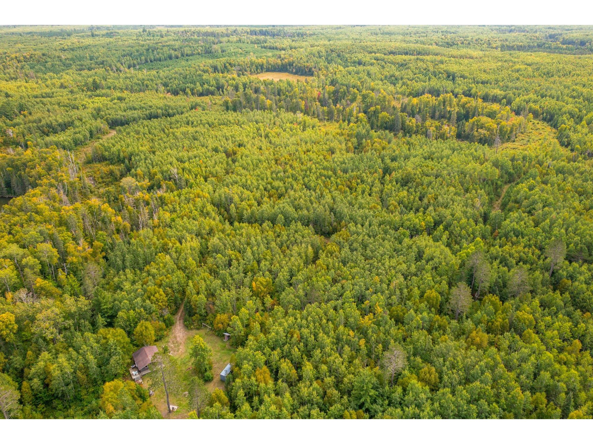 8644 Pulkinen Rd Embarrass MN 55732 6121801 image19