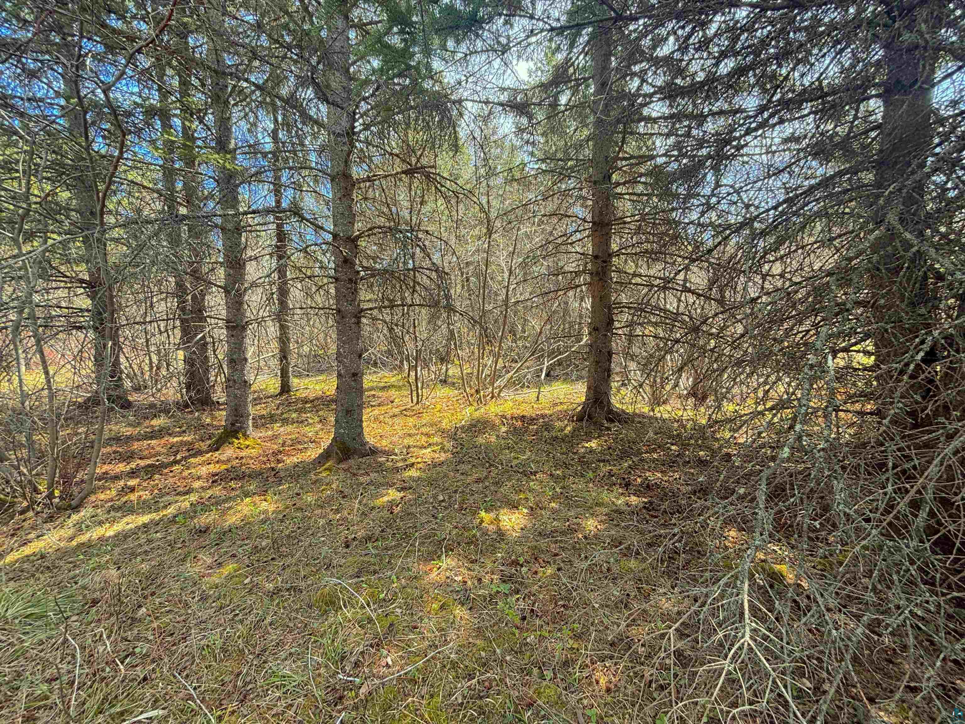 864XX Lenawee Rd Herbster WI 54844 6123361 image10