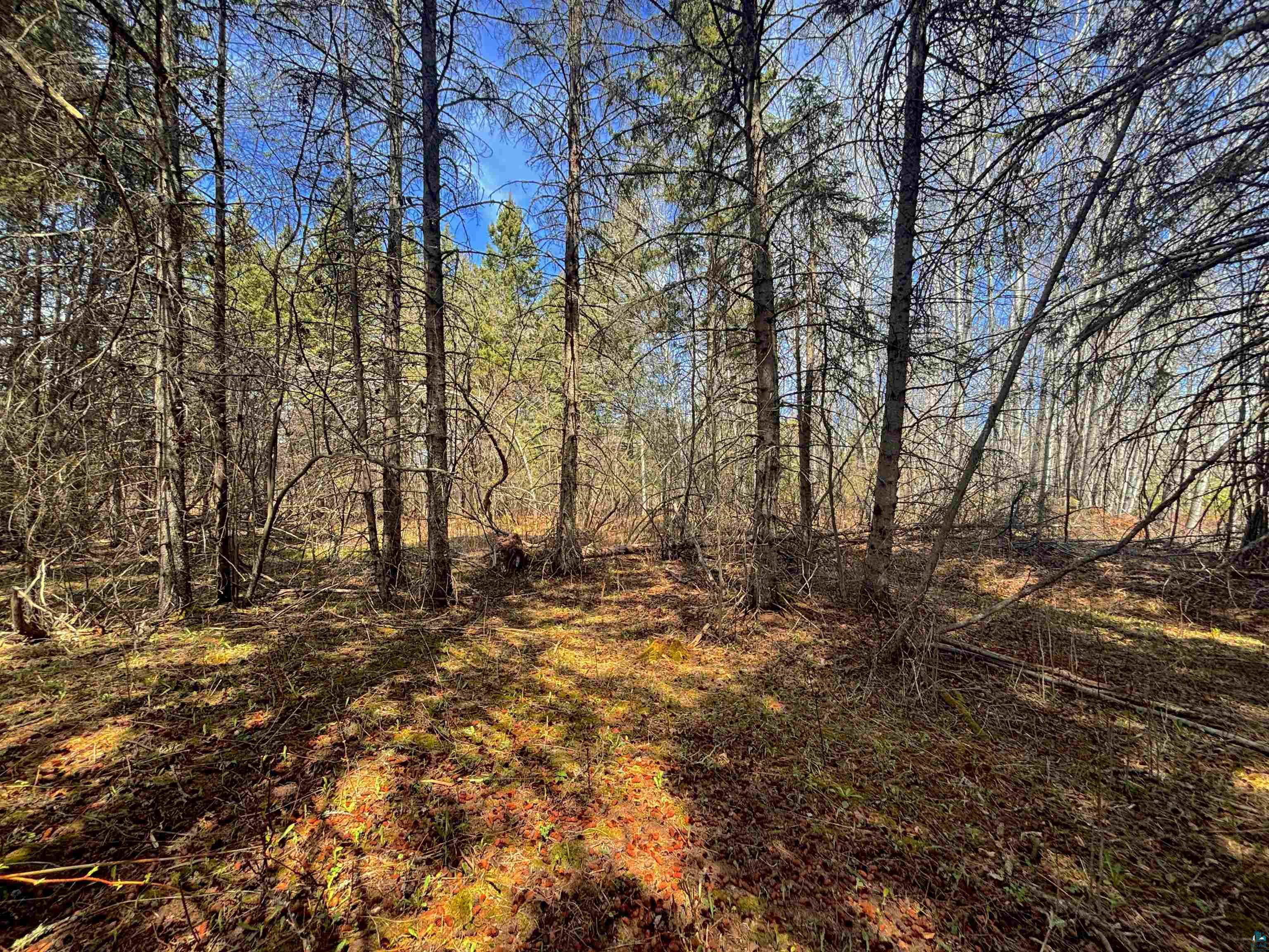 864XX Lenawee Rd Herbster WI 54844 6123361 image11