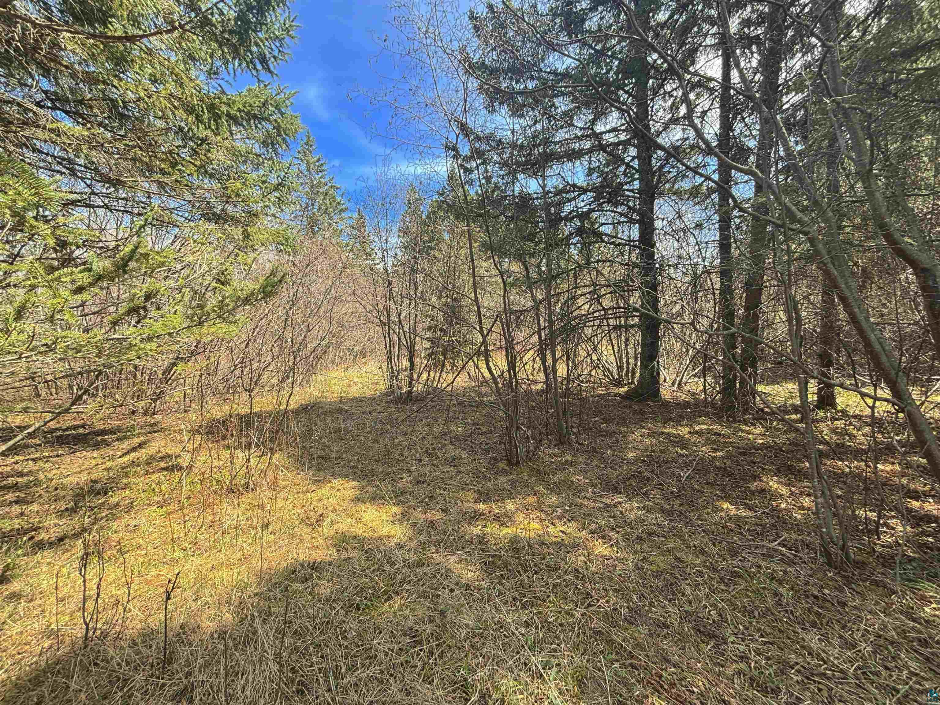 864XX Lenawee Rd Herbster WI 54844 6123361 image8