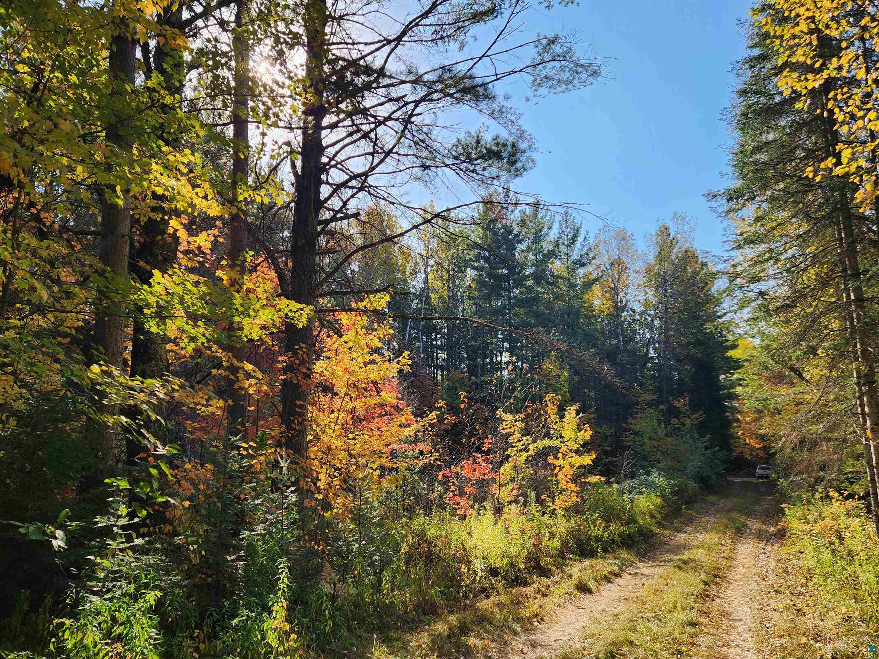 8697 E Town Line Rd Hawthorne WI 54842 6113356 image1