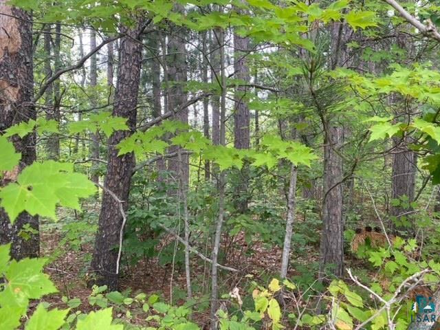 8703 E County Rd A Solon Springs WI 54873 6110208 image1