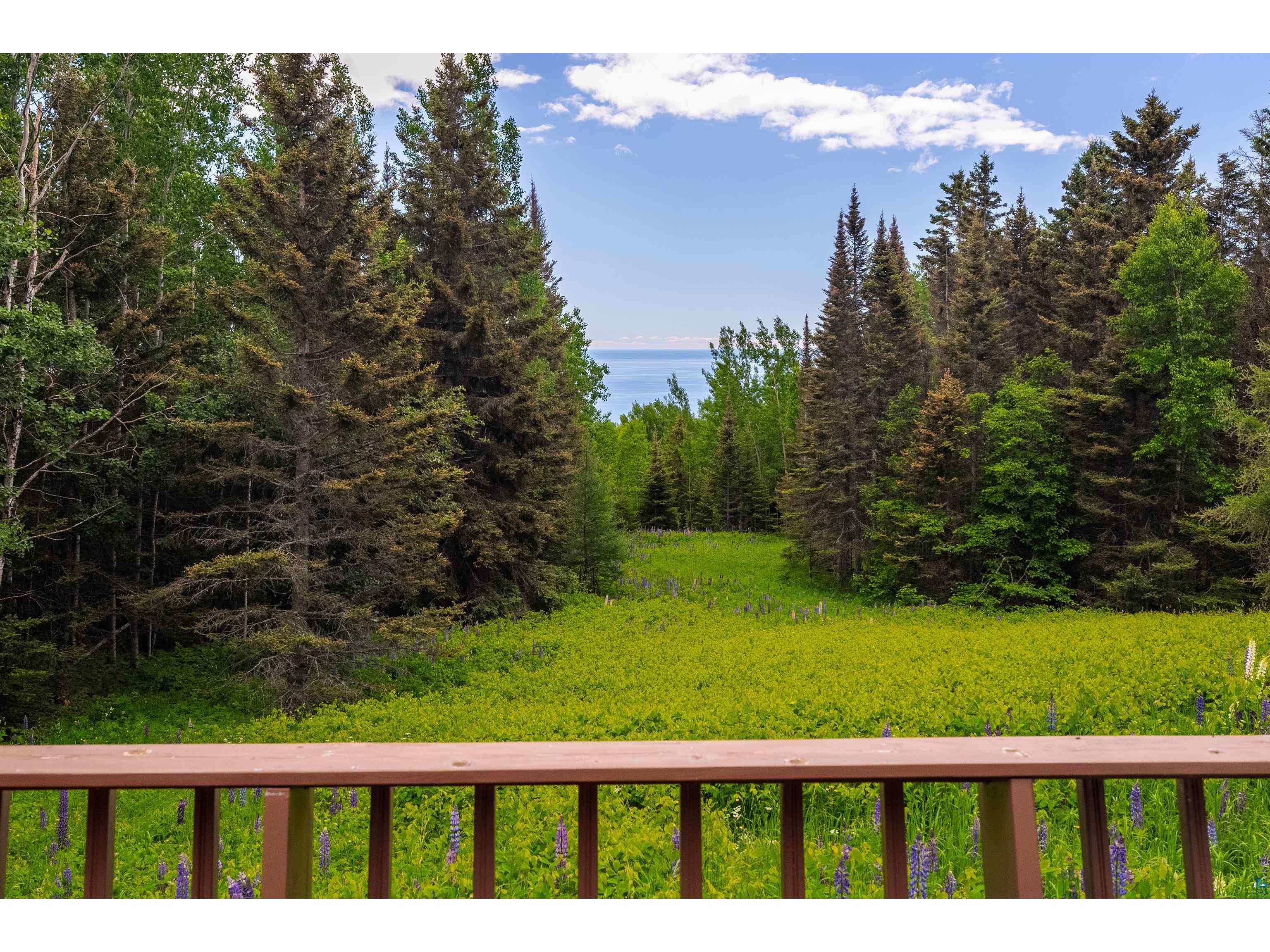871 Gunflint Tr Grand Marais MN 55604 6126198 image17