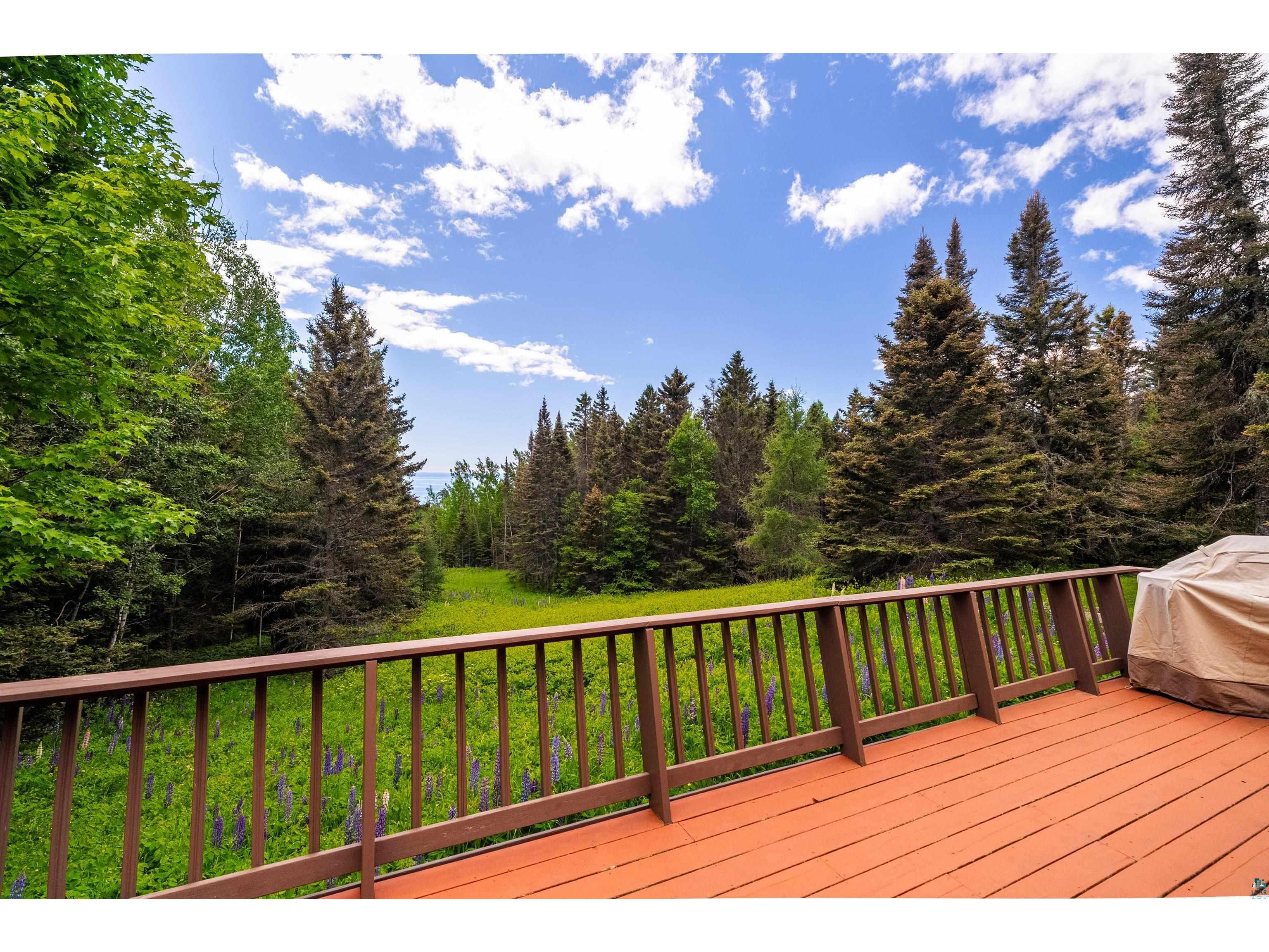 871 Gunflint Tr Grand Marais MN 55604 6126198 image18