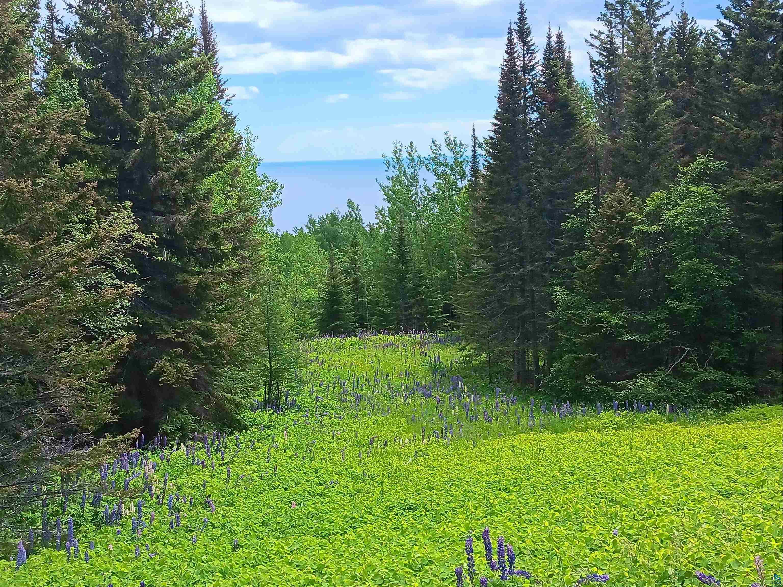 871 Gunflint Tr Grand Marais MN 55604 6126198 image3