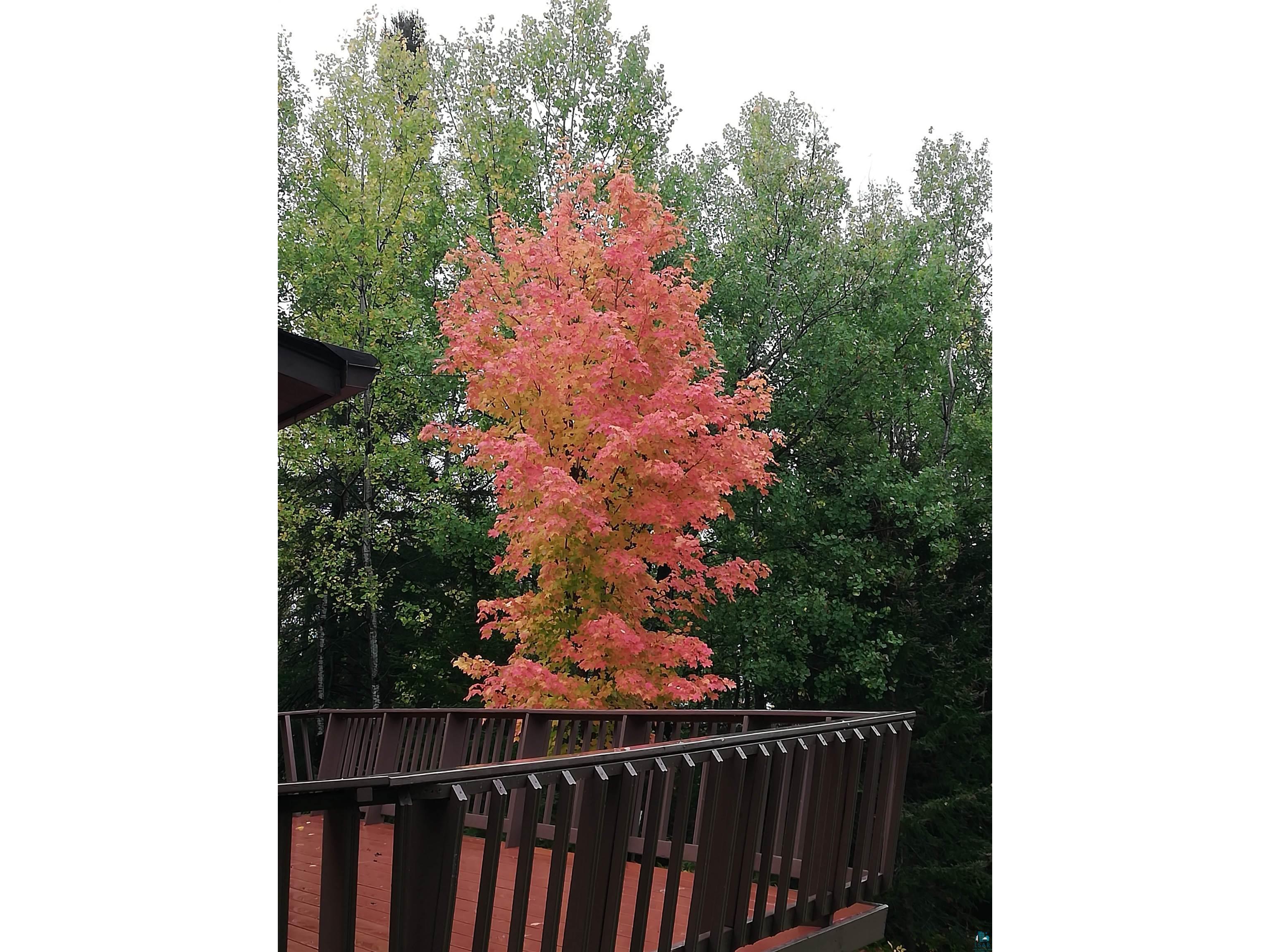 871 Gunflint Tr Grand Marais MN 55604 6126198 image32