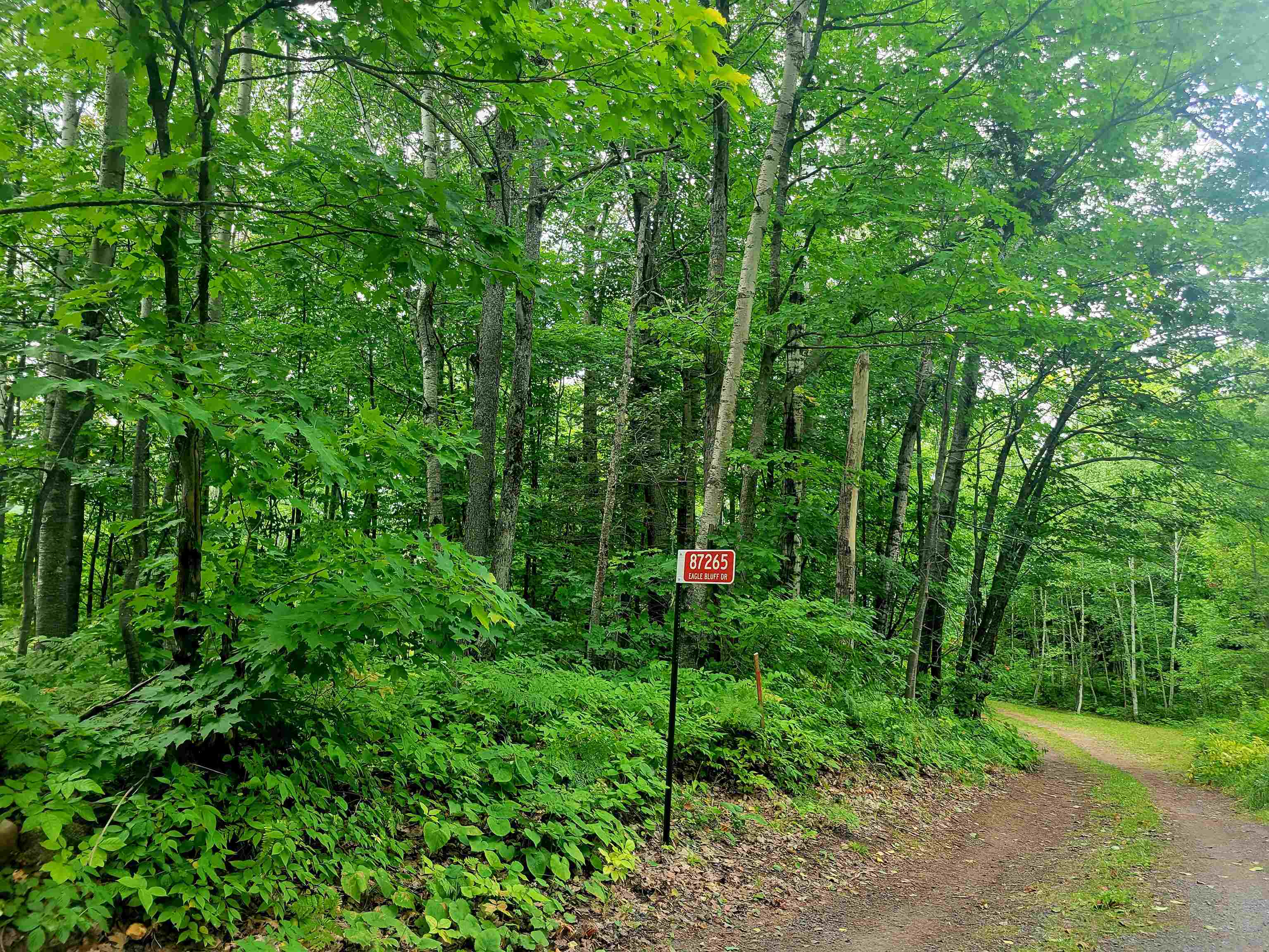 87265 Eagle Bluff Dr Bayfield WI 54814 - POND 6121822 image1