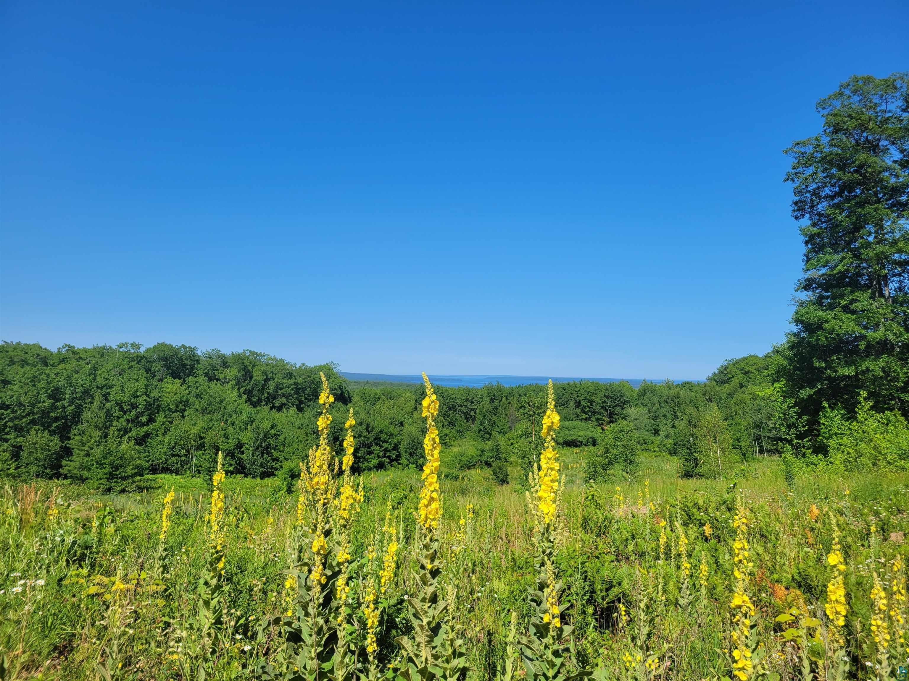 87380 Eagle Bluff Dr Bayfield WI 54814 6109802 image1