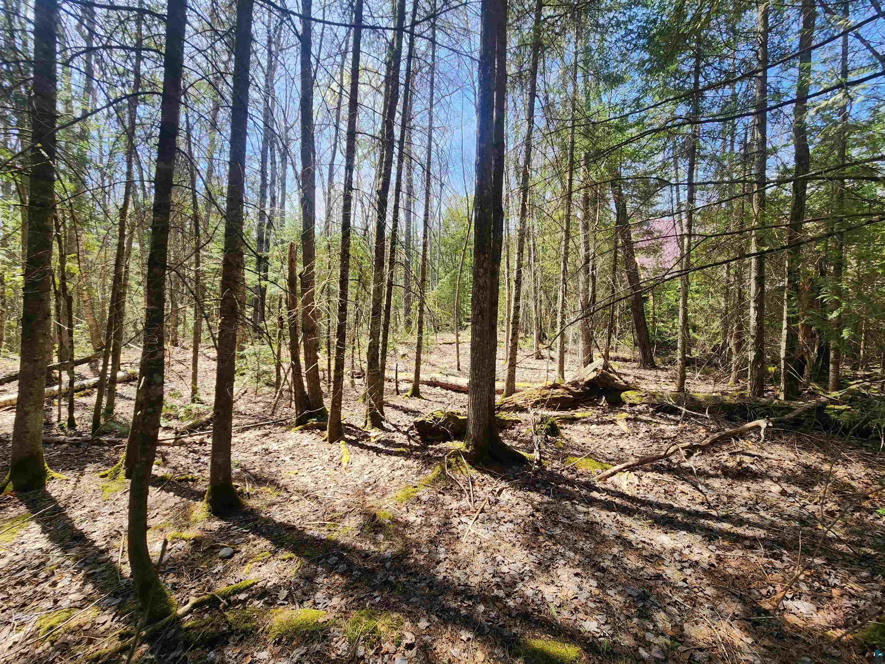 87644 Bjorn Rd Bayfield WI 54814 6125279 image24