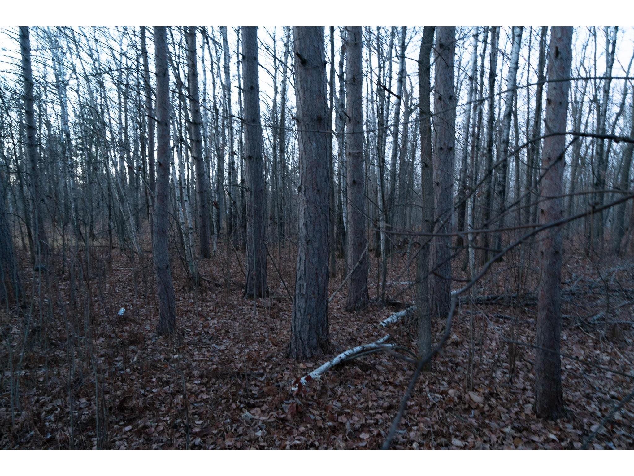 87927 Alder Loop Sturgeon Lake MN 55783 6123023 image18