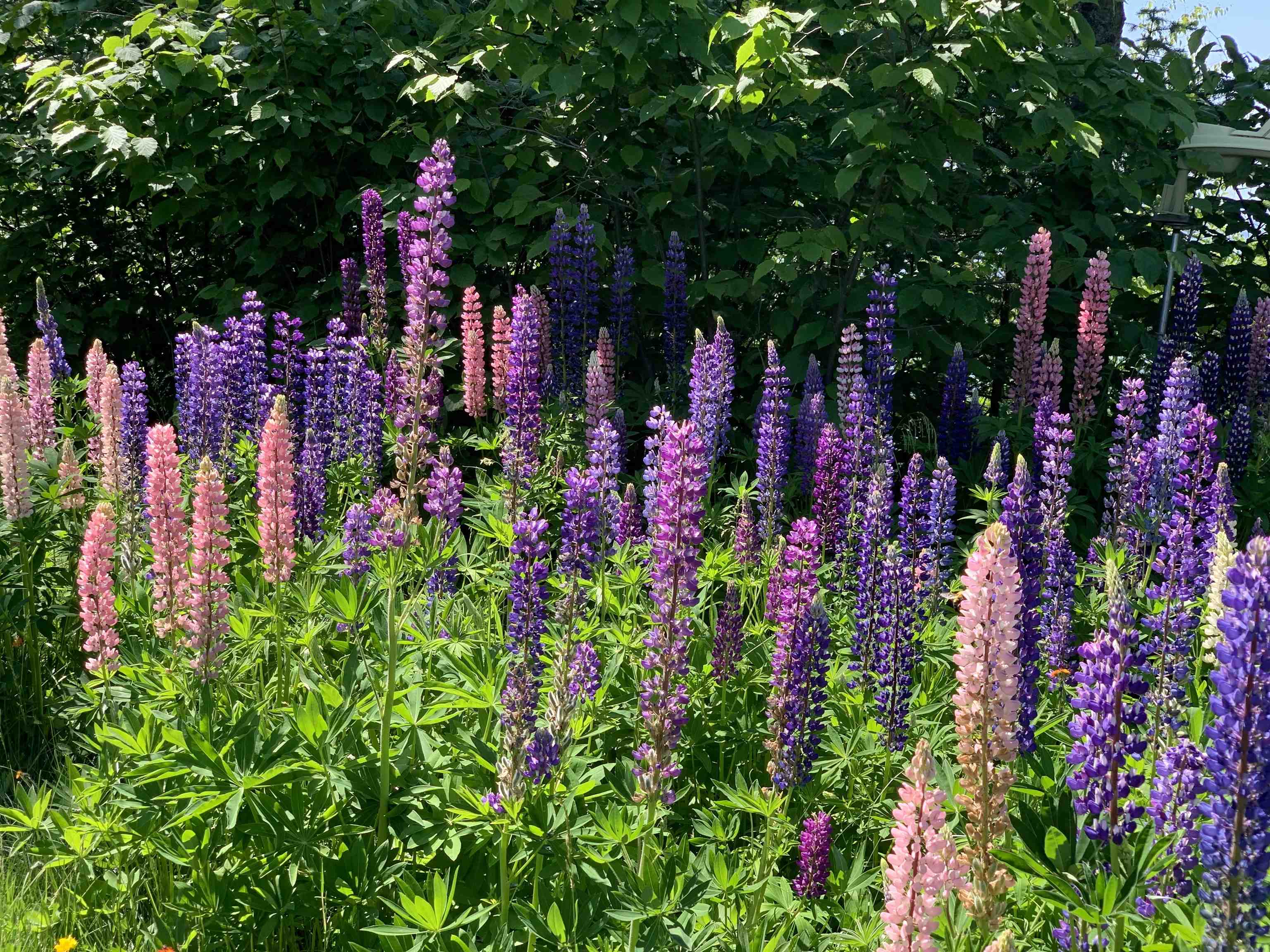87985 Bark Point Rd Herbster WI 54844 - Lake Superior 6123465 image28