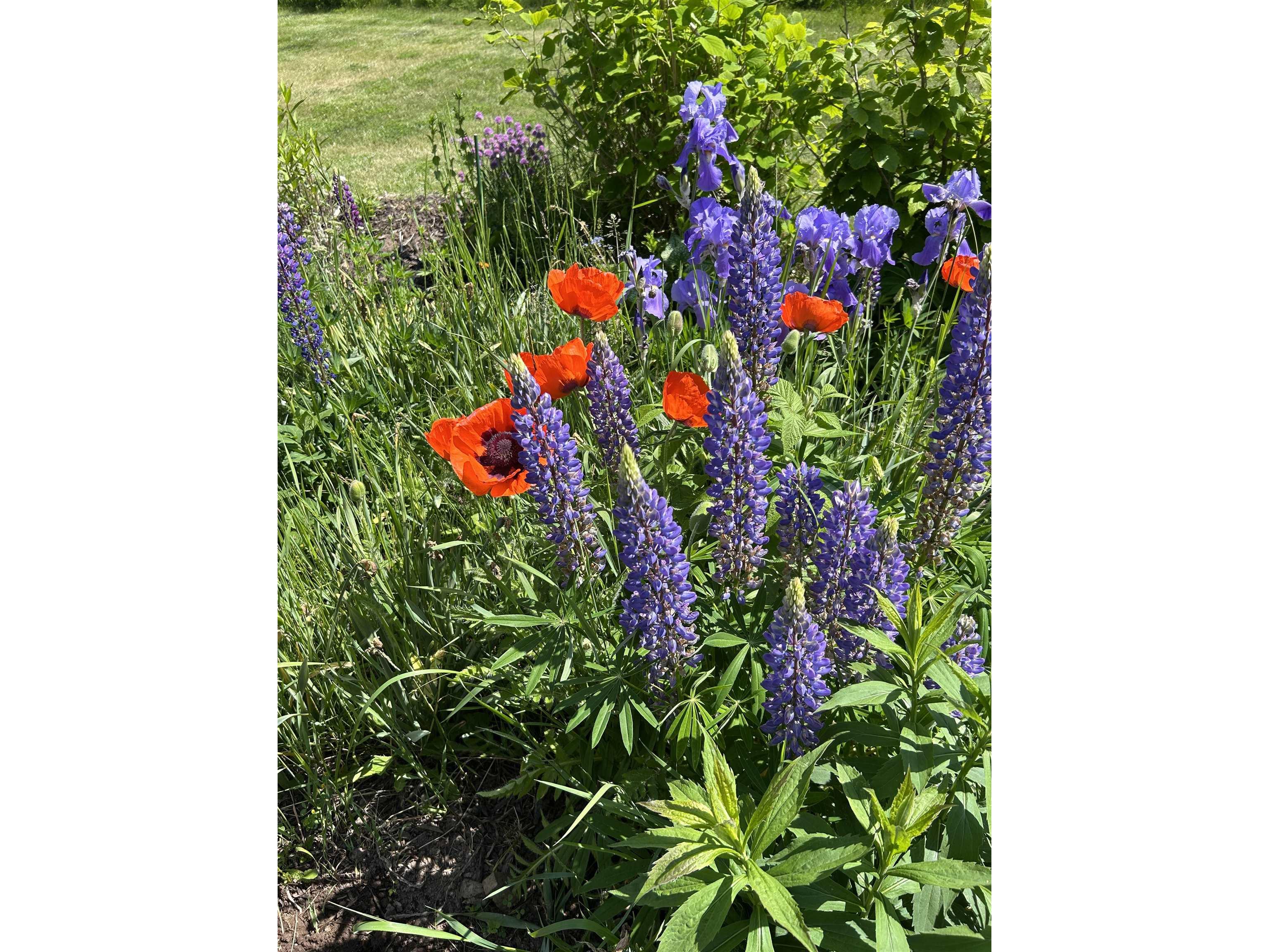 87985 Bark Point Rd Herbster WI 54844 - Lake Superior 6123465 image41