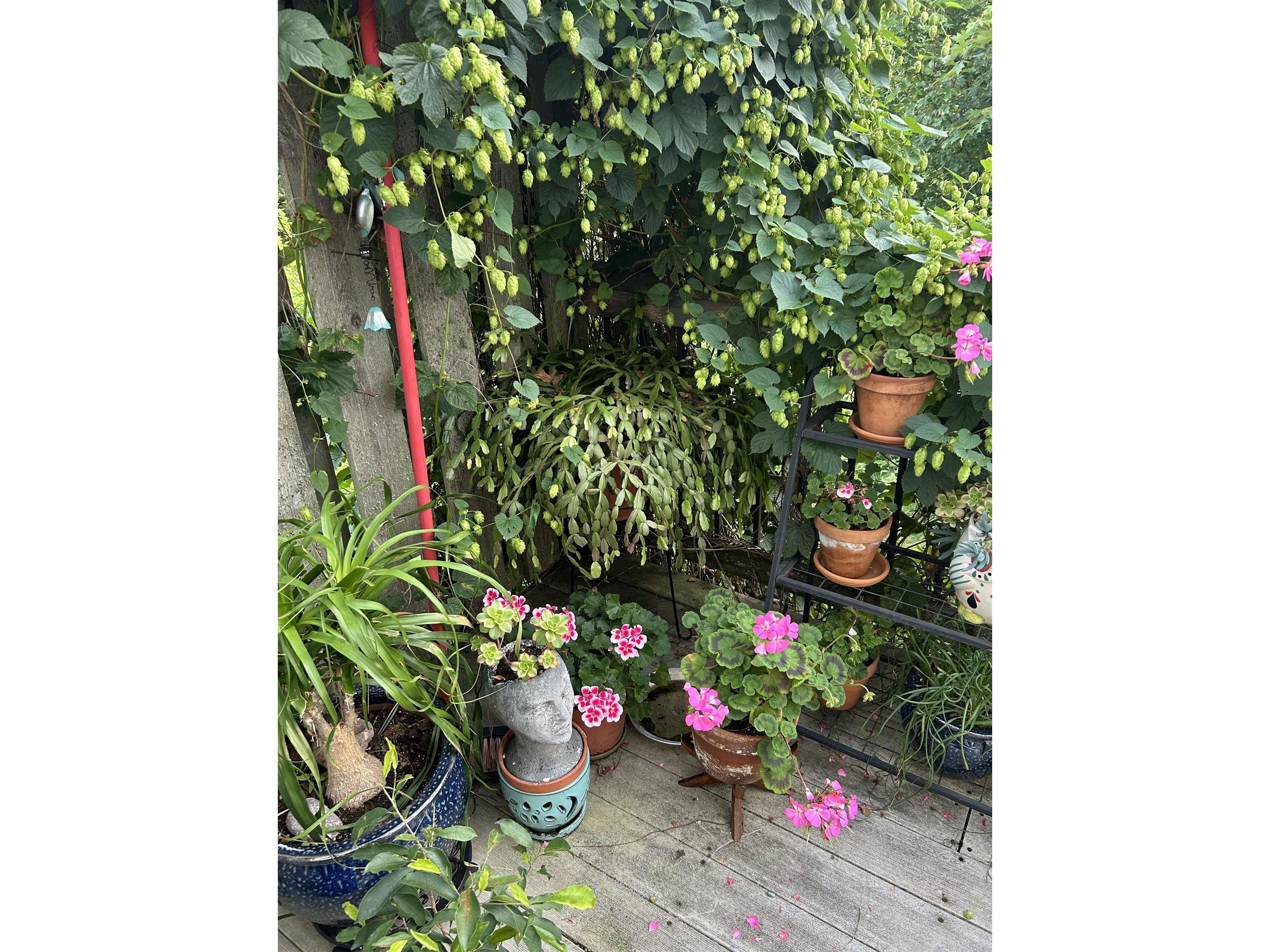 87985 Bark Point Rd Herbster WI 54844 - Lake Superior 6123465 image66