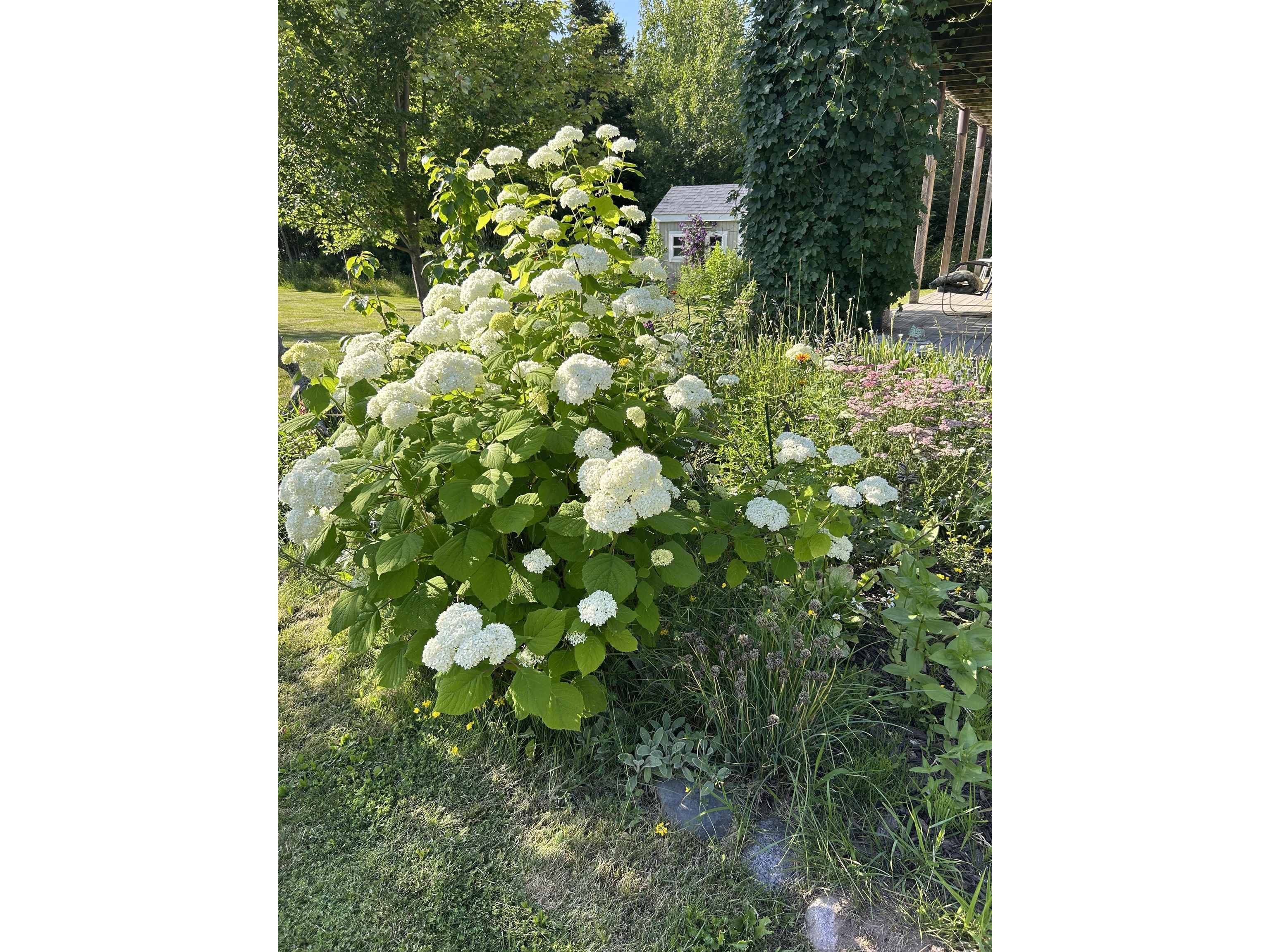 87985 Bark Point Rd Herbster WI 54844 - Lake Superior 6123465 image67