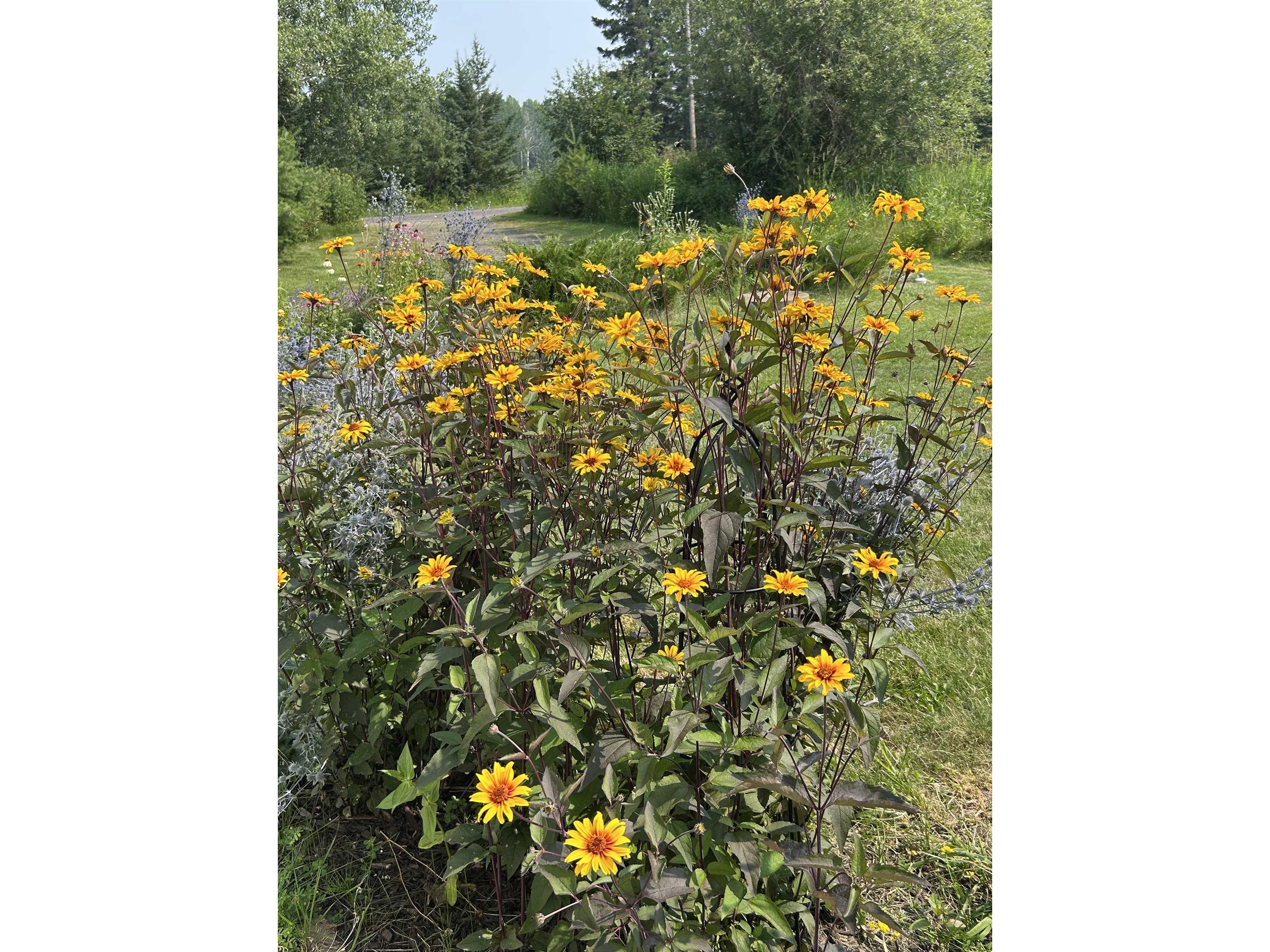 87985 Bark Point Rd Herbster WI 54844 - Lake Superior 6123465 image74