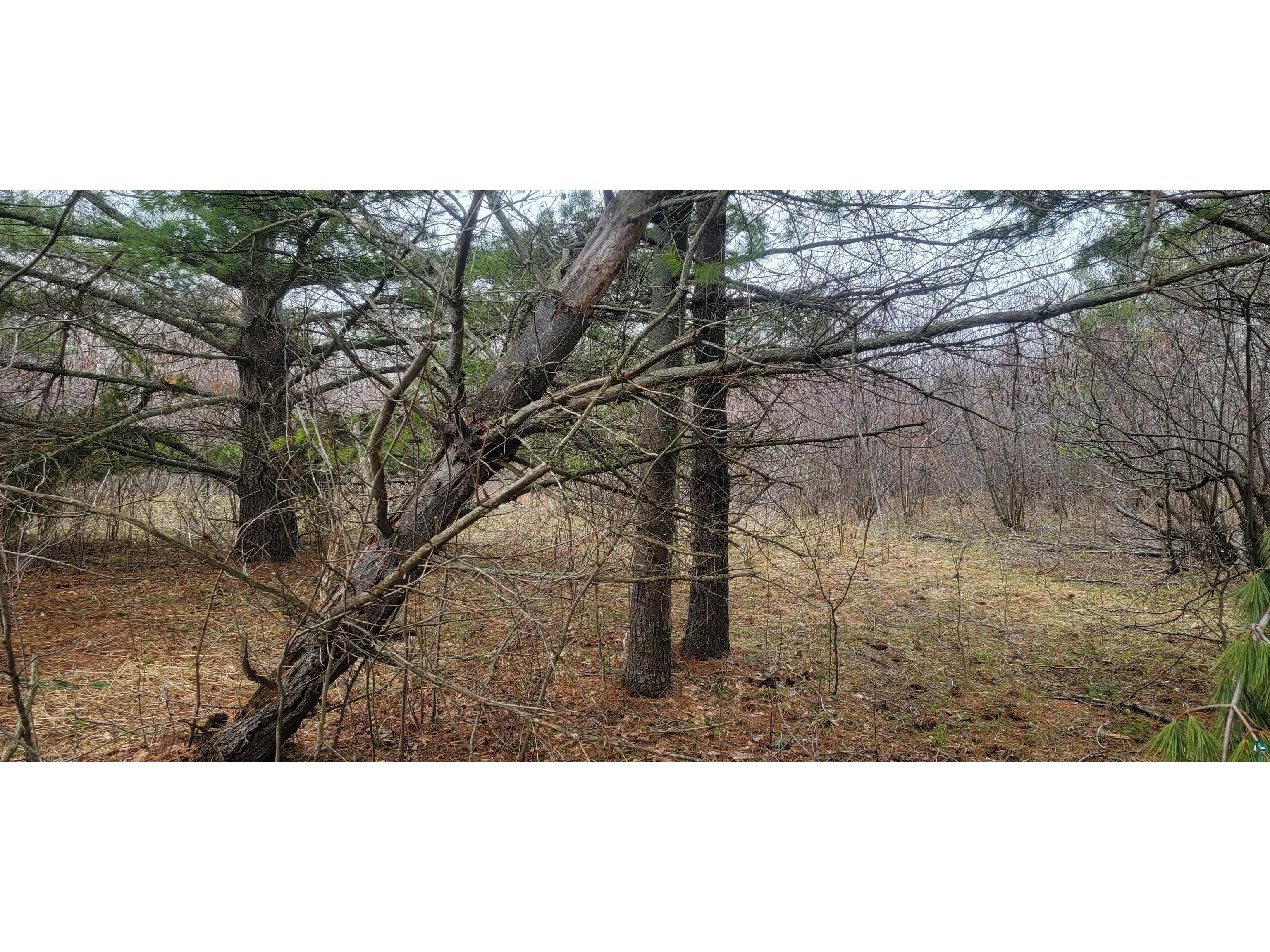 87xxx Stage Rd Cornucopia WI 54827 6107904 image1