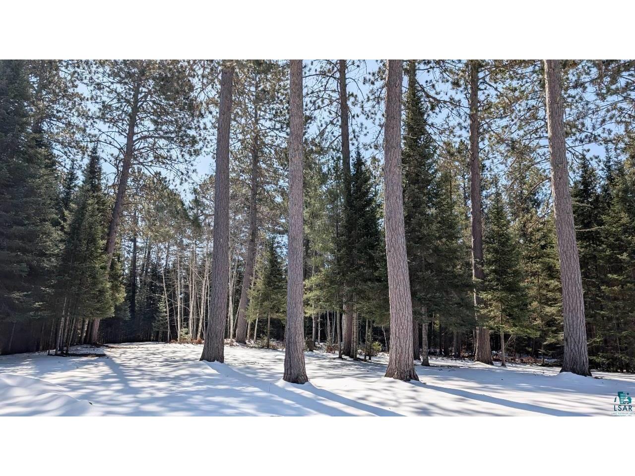 8854 River Rd Angora MN 55703 - Sturgeon River 6124450 image31