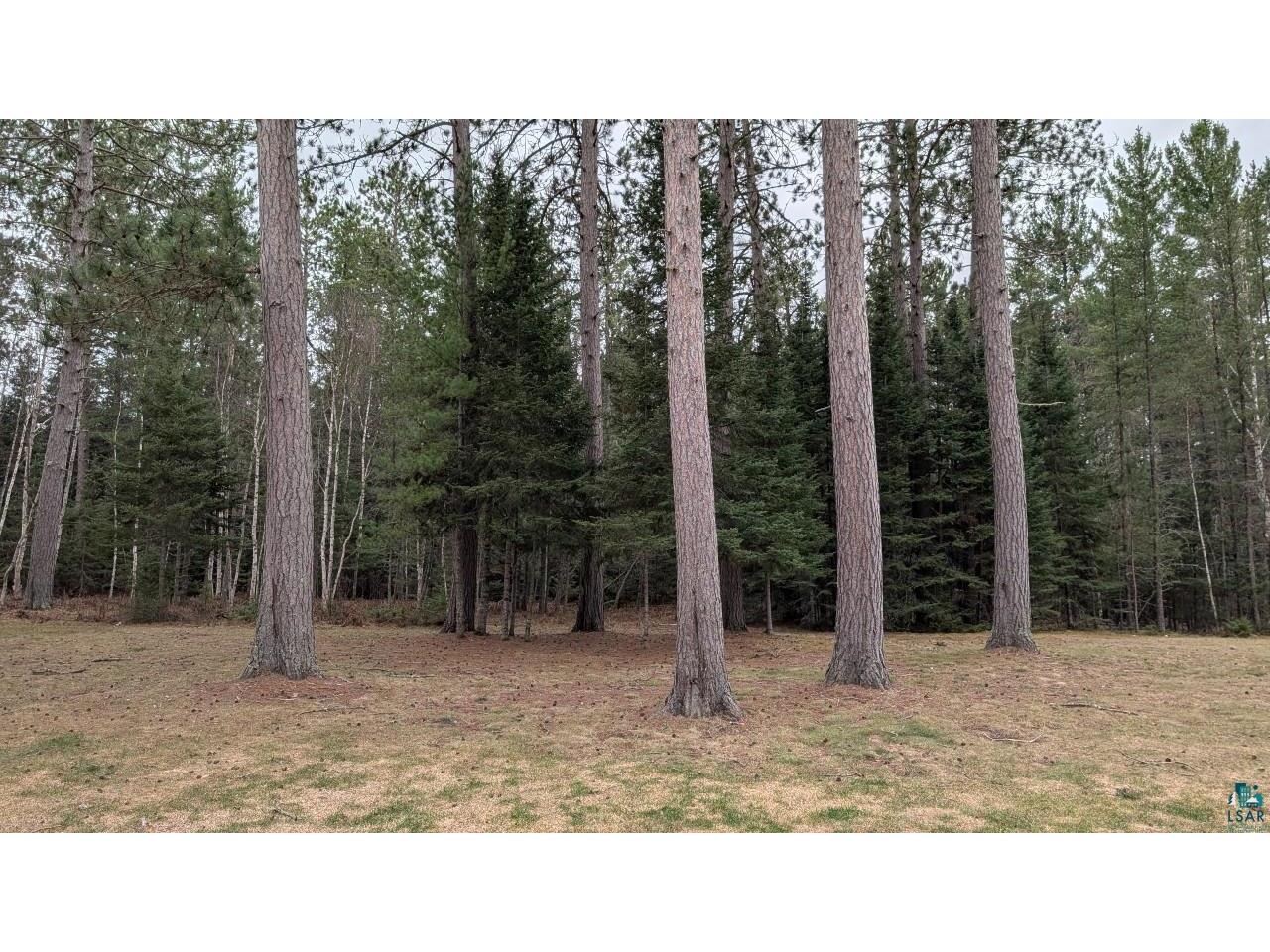8854 River Rd Angora MN 55703 - Sturgeon River 6124450 image49