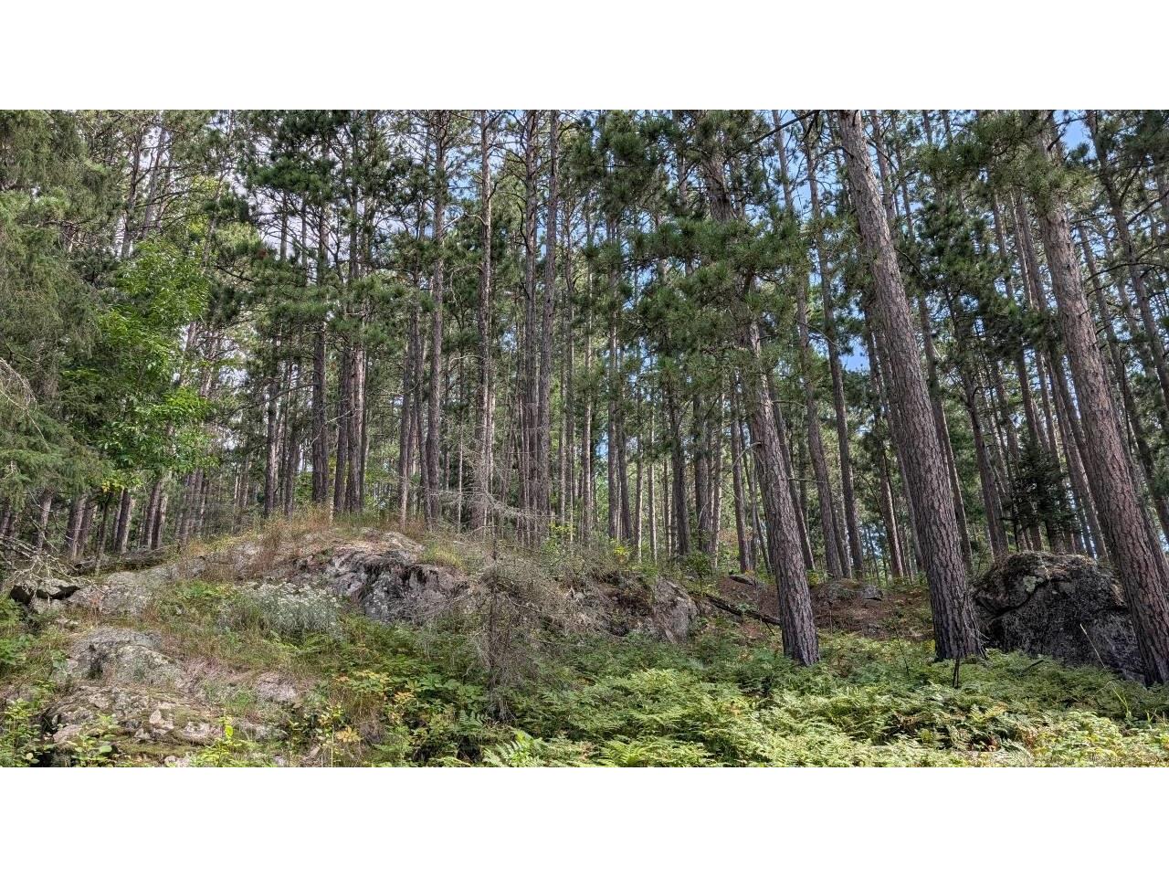 8884 Raps Rd Cook MN 55723 - Vermilion 6121641 image43