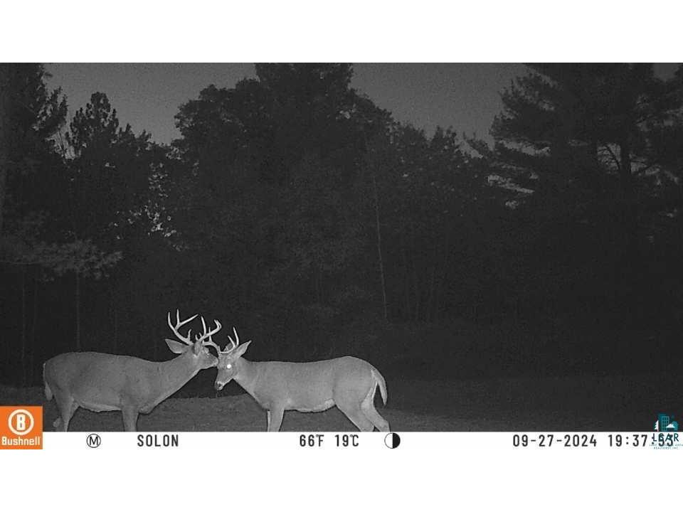 8888 E Baldwin Ave Solon Springs WI 54873 6118376 image11