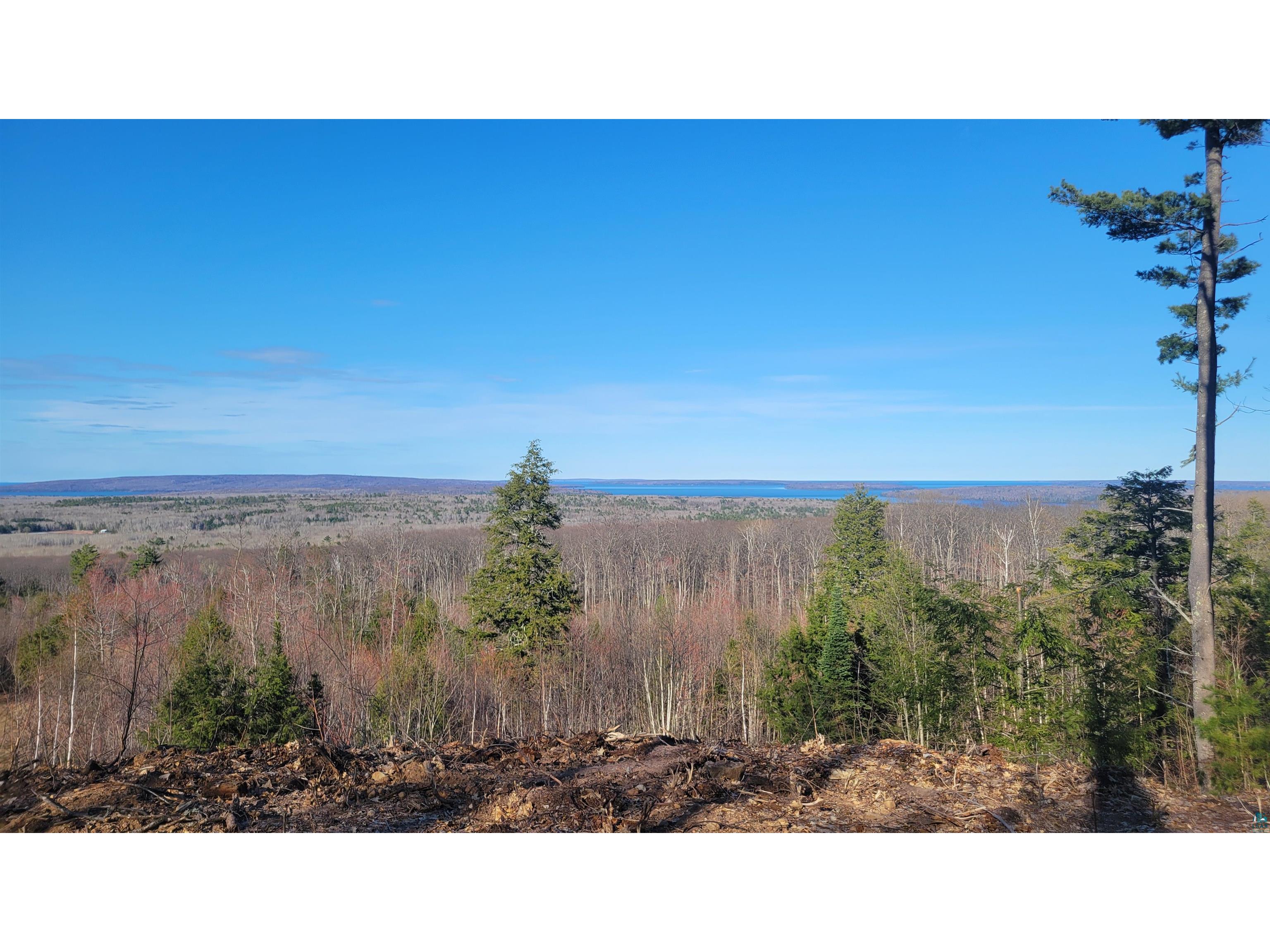 888xx Turner Rd Bayfield WI 54814 6123545 image2