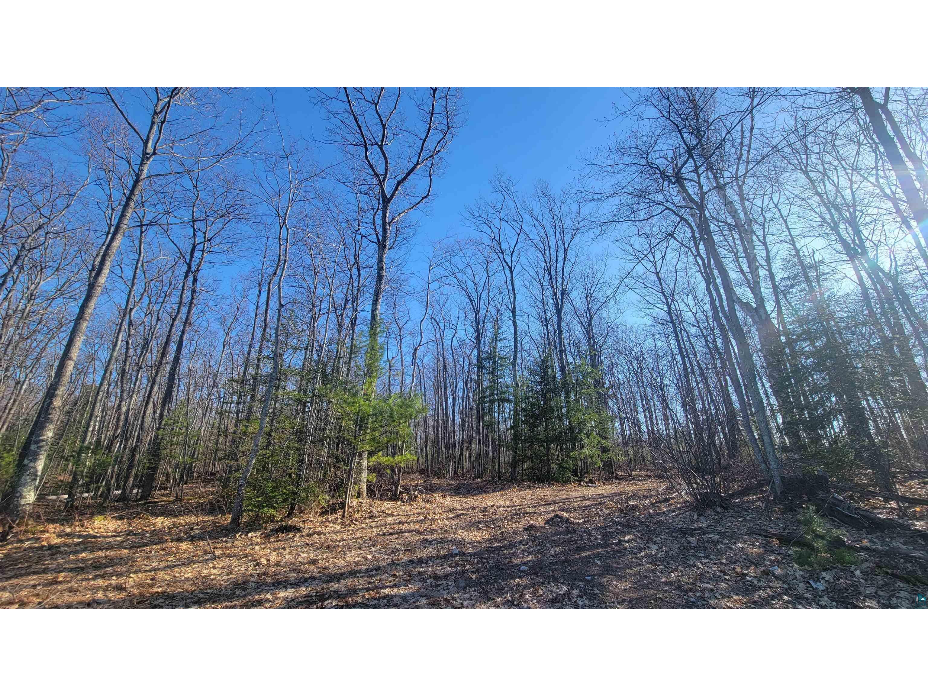 888xx Turner Rd Bayfield WI 54814 6123545 image24