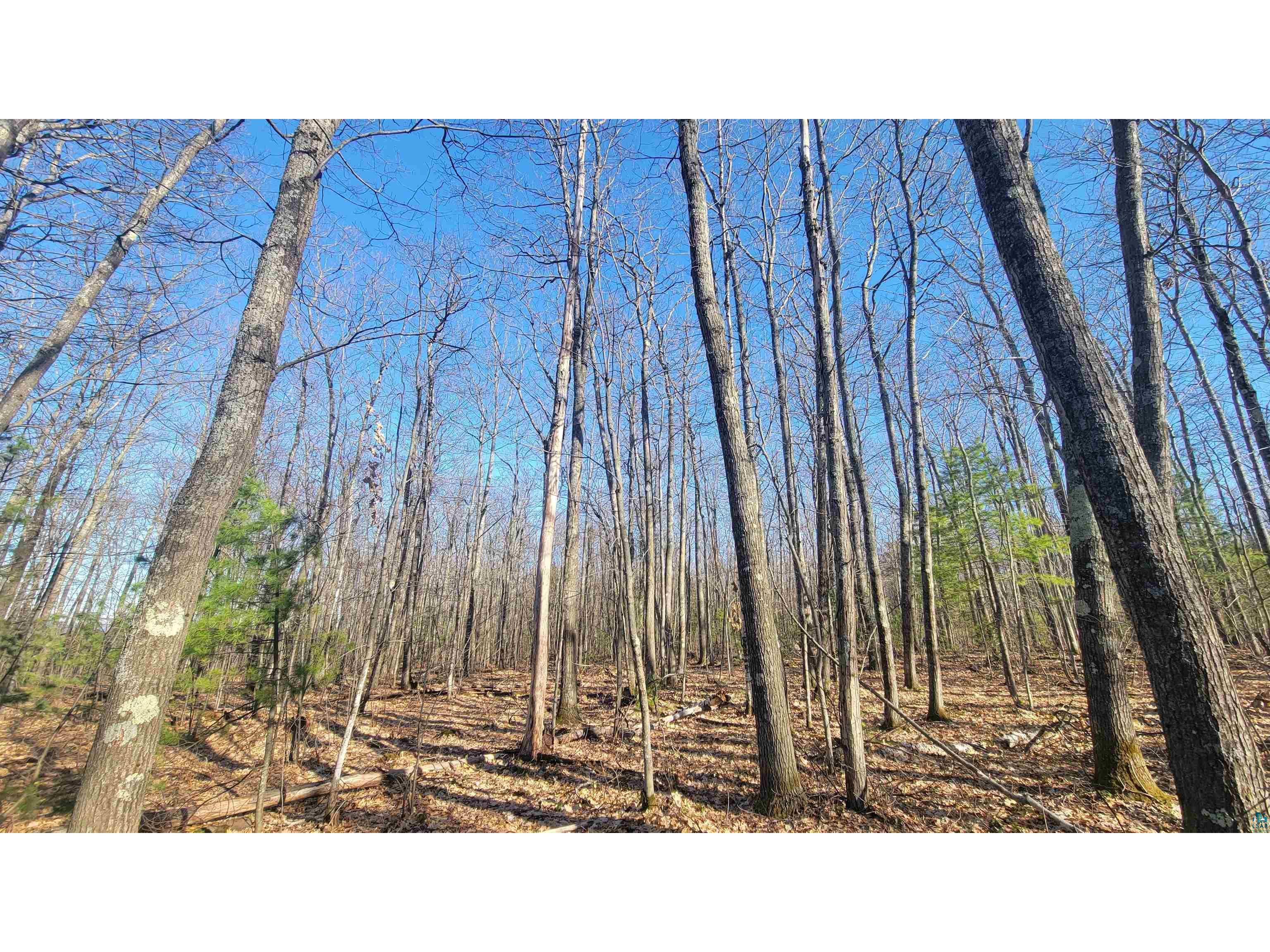 888xx Turner Rd Bayfield WI 54814 6123545 image26