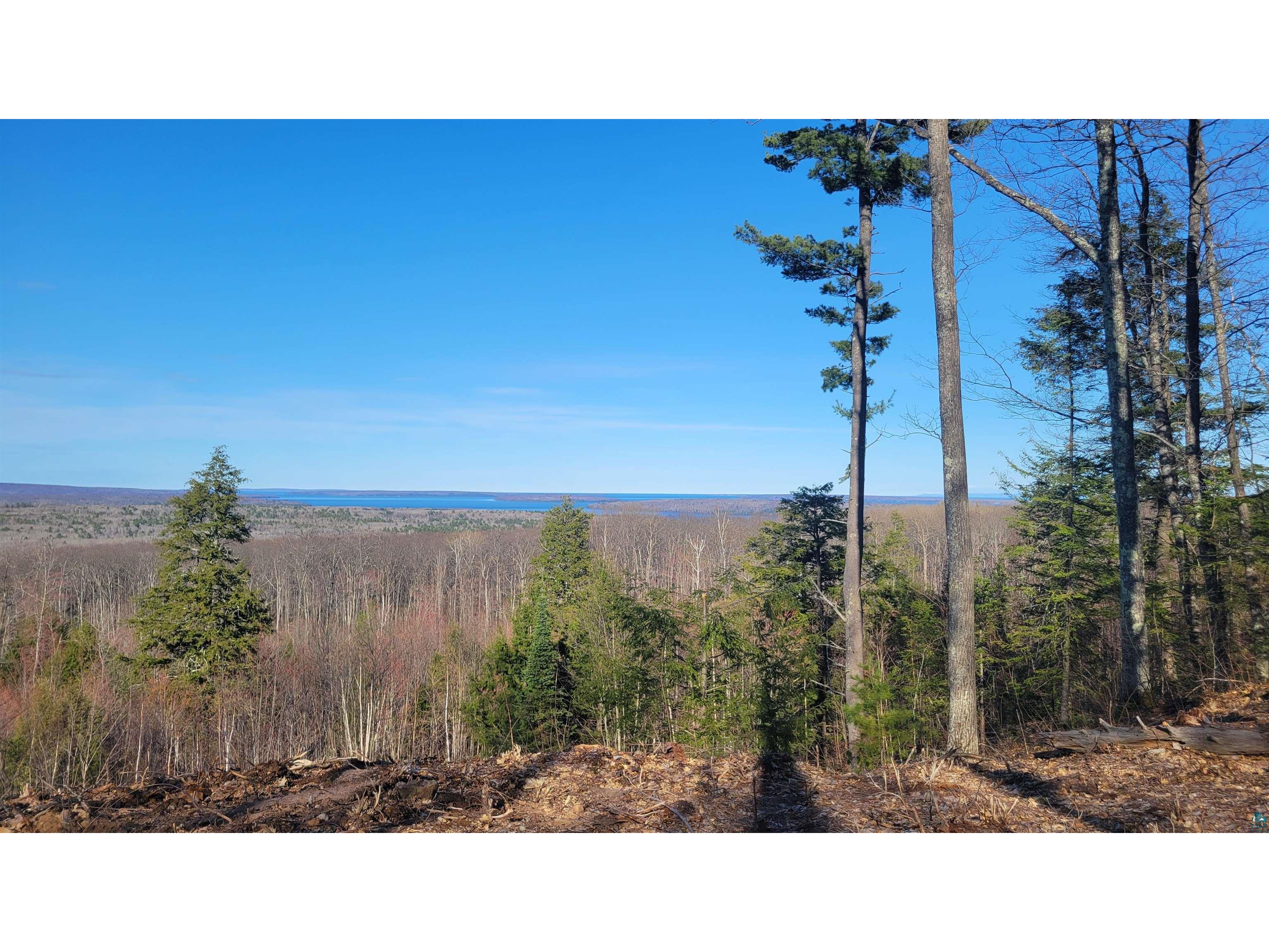 888xx Turner Rd Bayfield WI 54814 6123545 image3