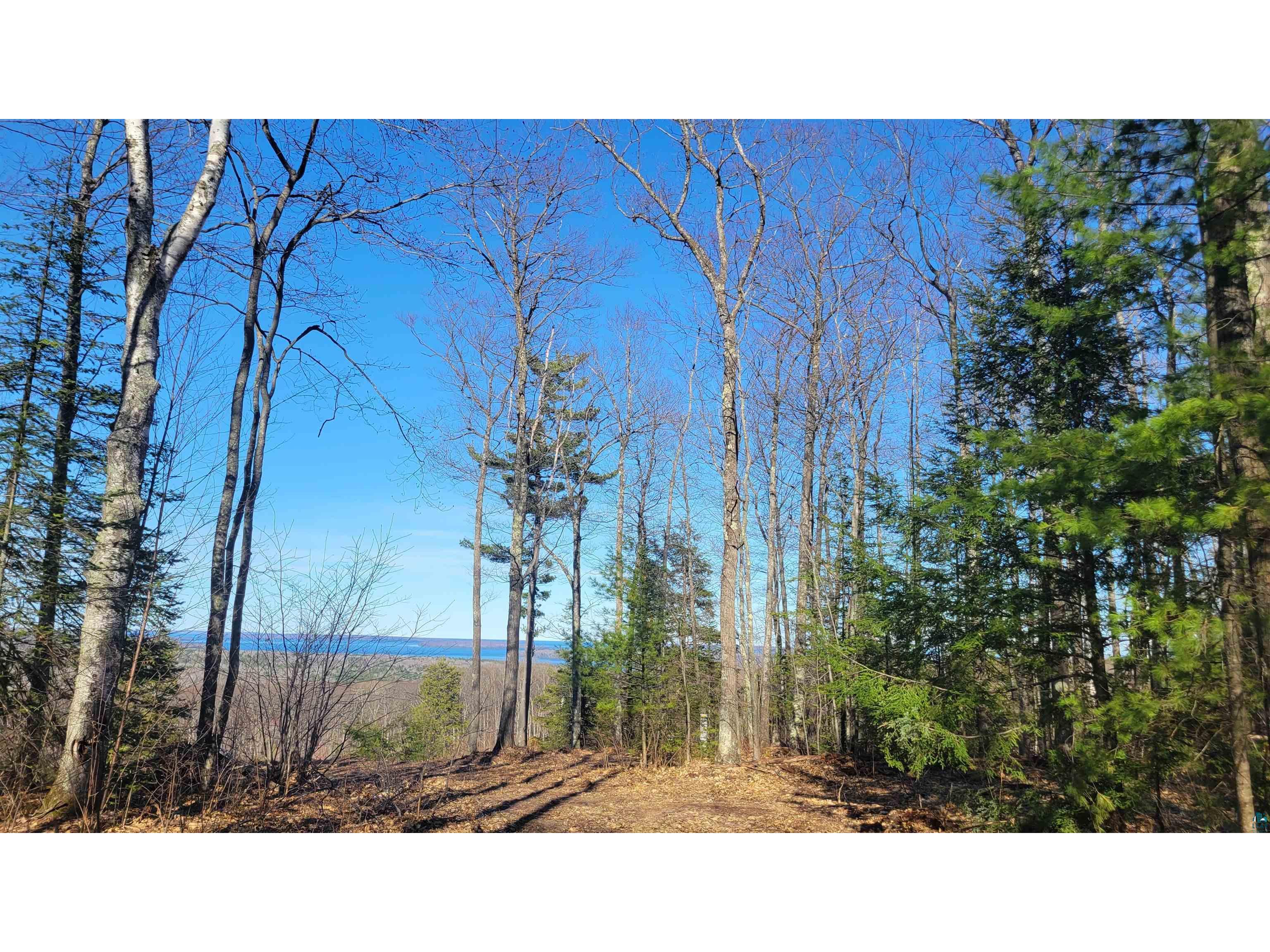 888xx Turner Rd Bayfield WI 54814 6123545 image8