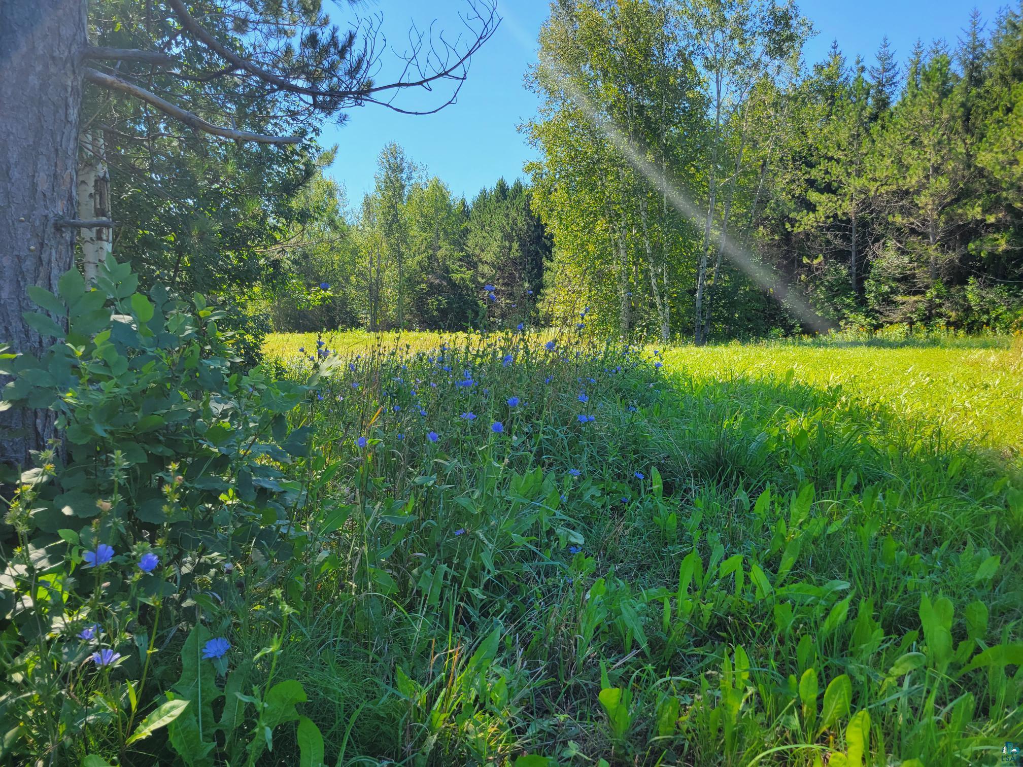 88xxx Eagle Bluff Dr Bayfield WI 54814 6109422 image1