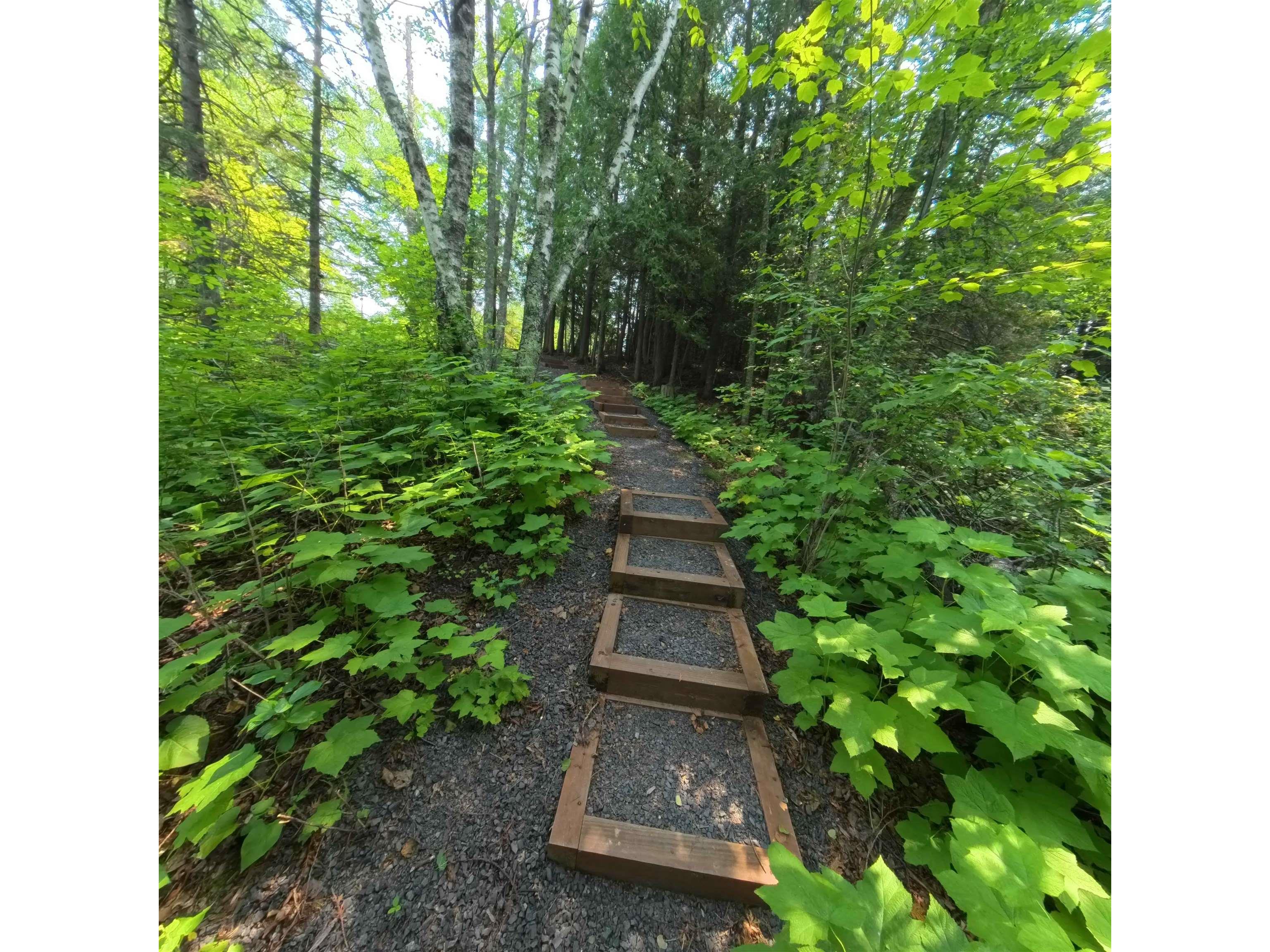 89095 Aster Dr Cornucopia WI 54827 - Lake Superior 6121786 image35