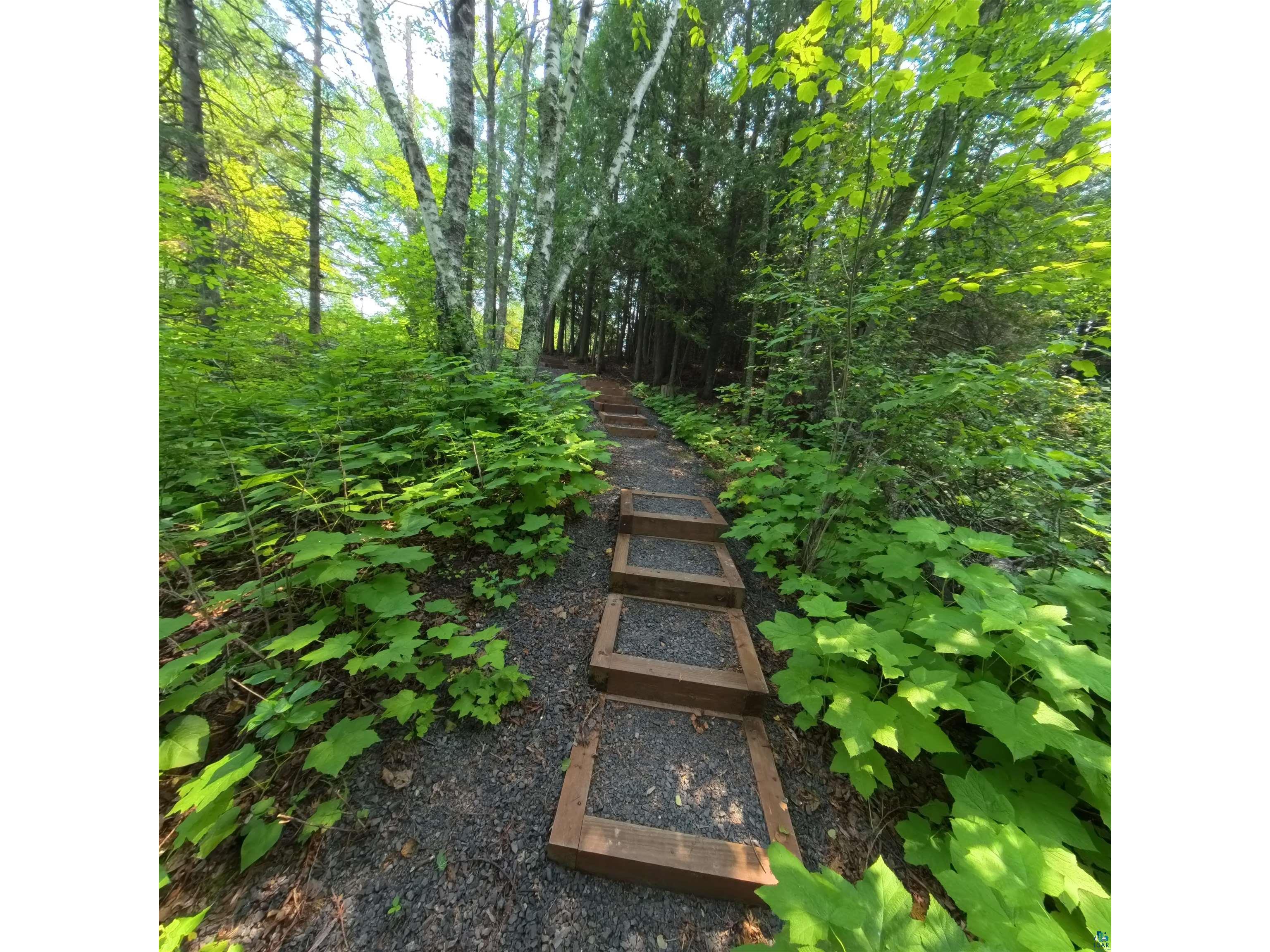 89170 Meadow Tr Cornucopia WI 54827 6124205 image25