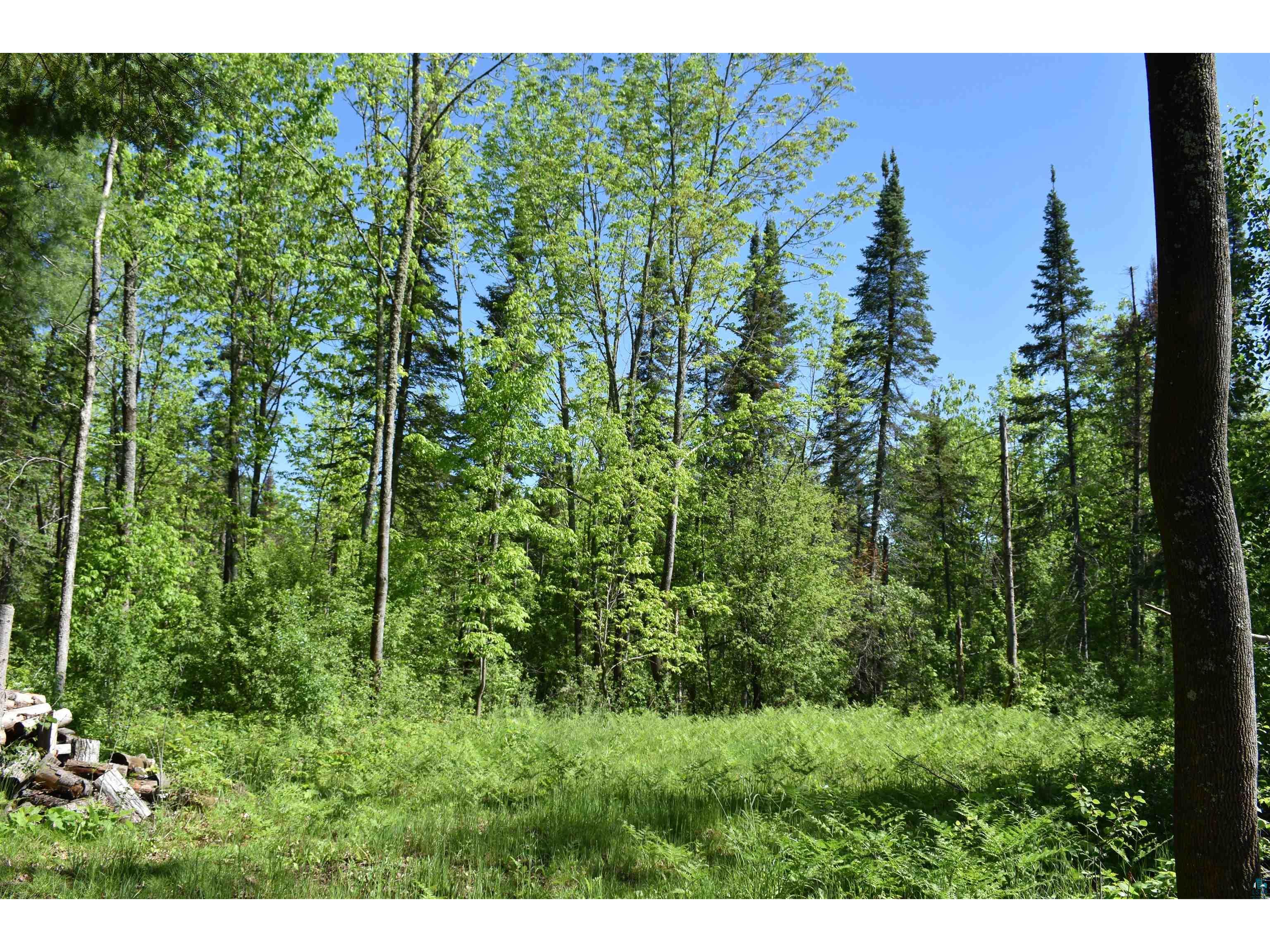 8XX W 4th St Washburn WI 54891 6113520 image1