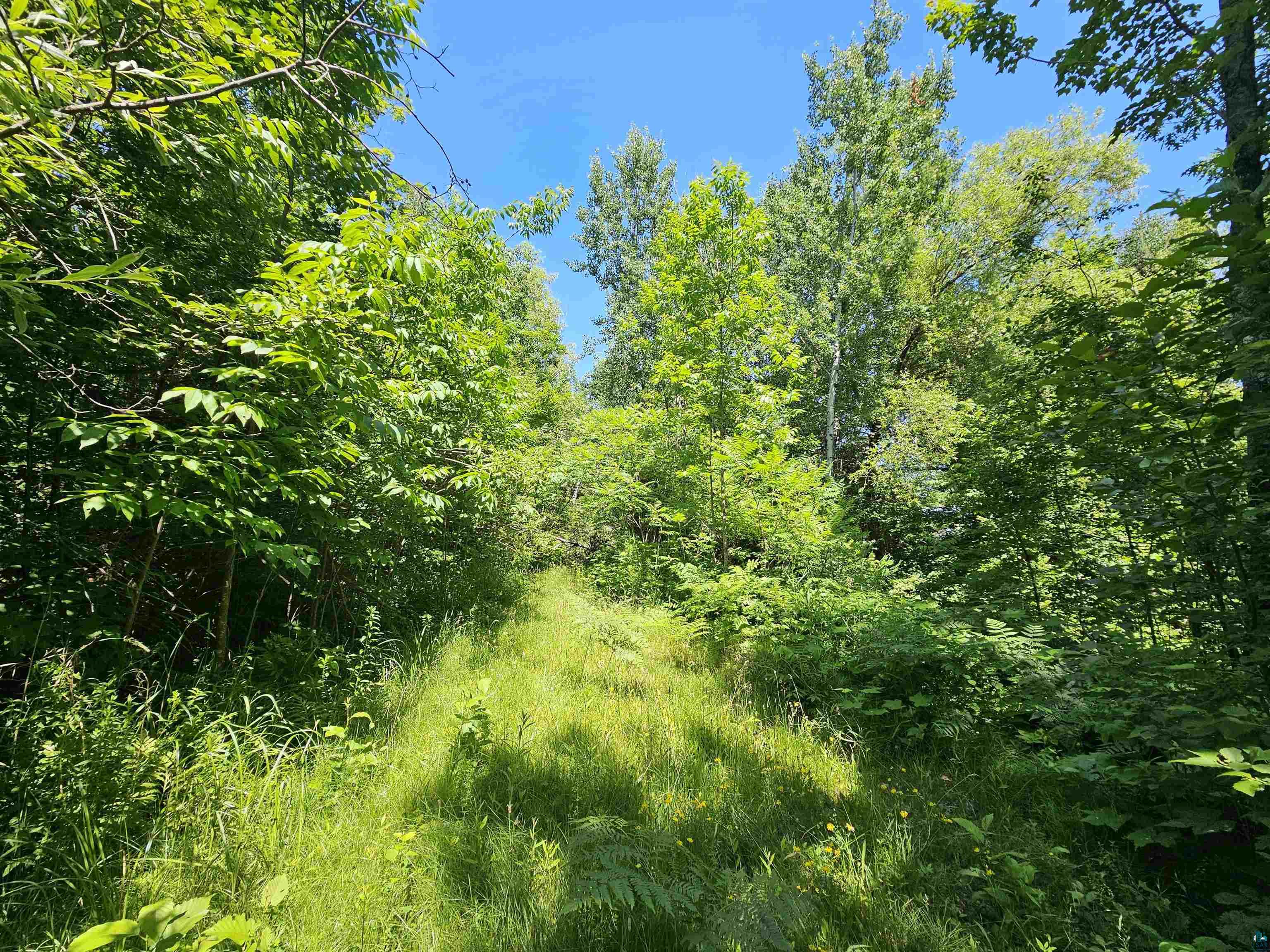 8xxxx State Highway 13 Washburn WI 54891 - Lake Superior 6120608 image4