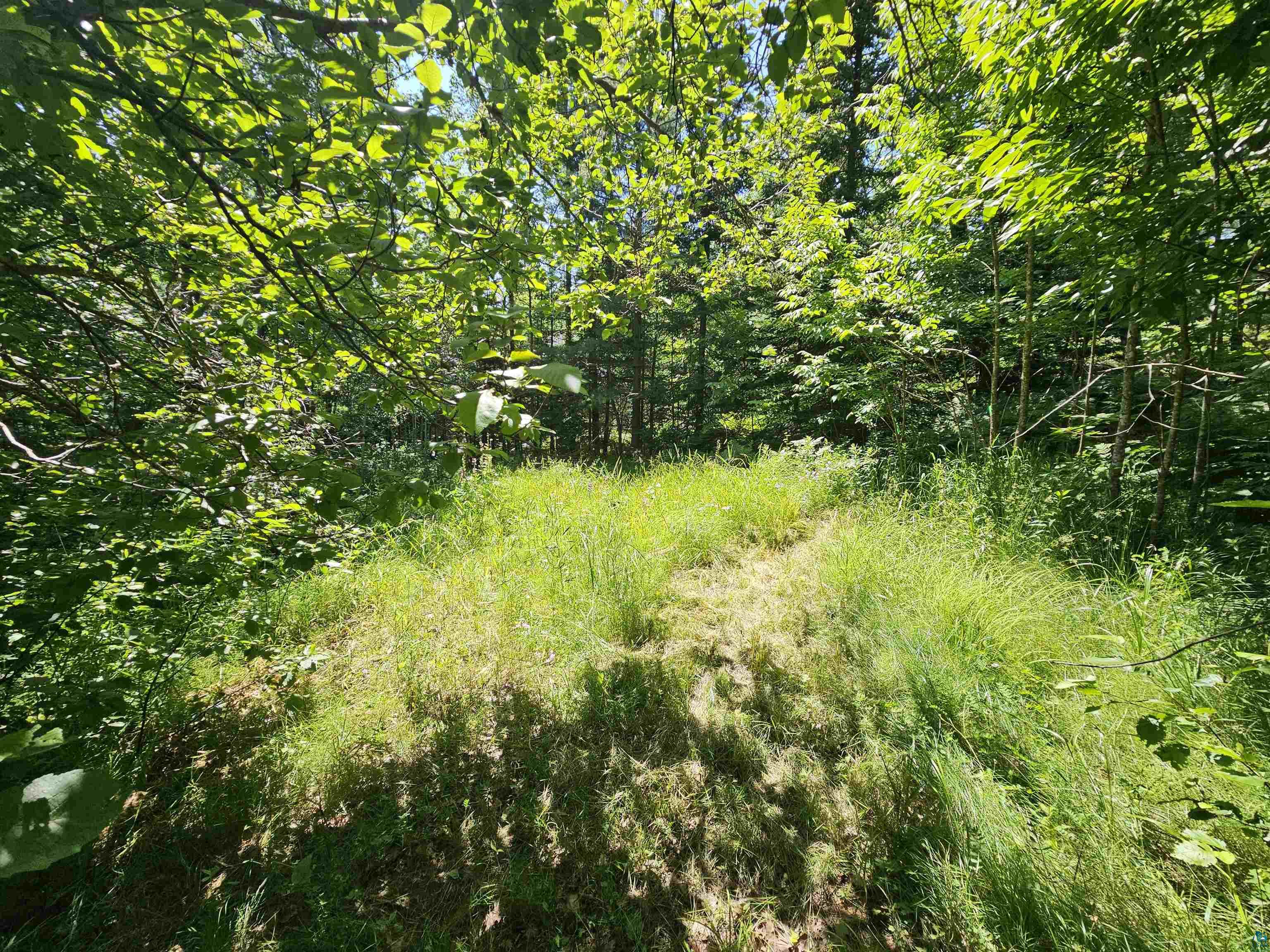 8xxxx State Highway 13 Washburn WI 54891 - Lake Superior 6120608 image8