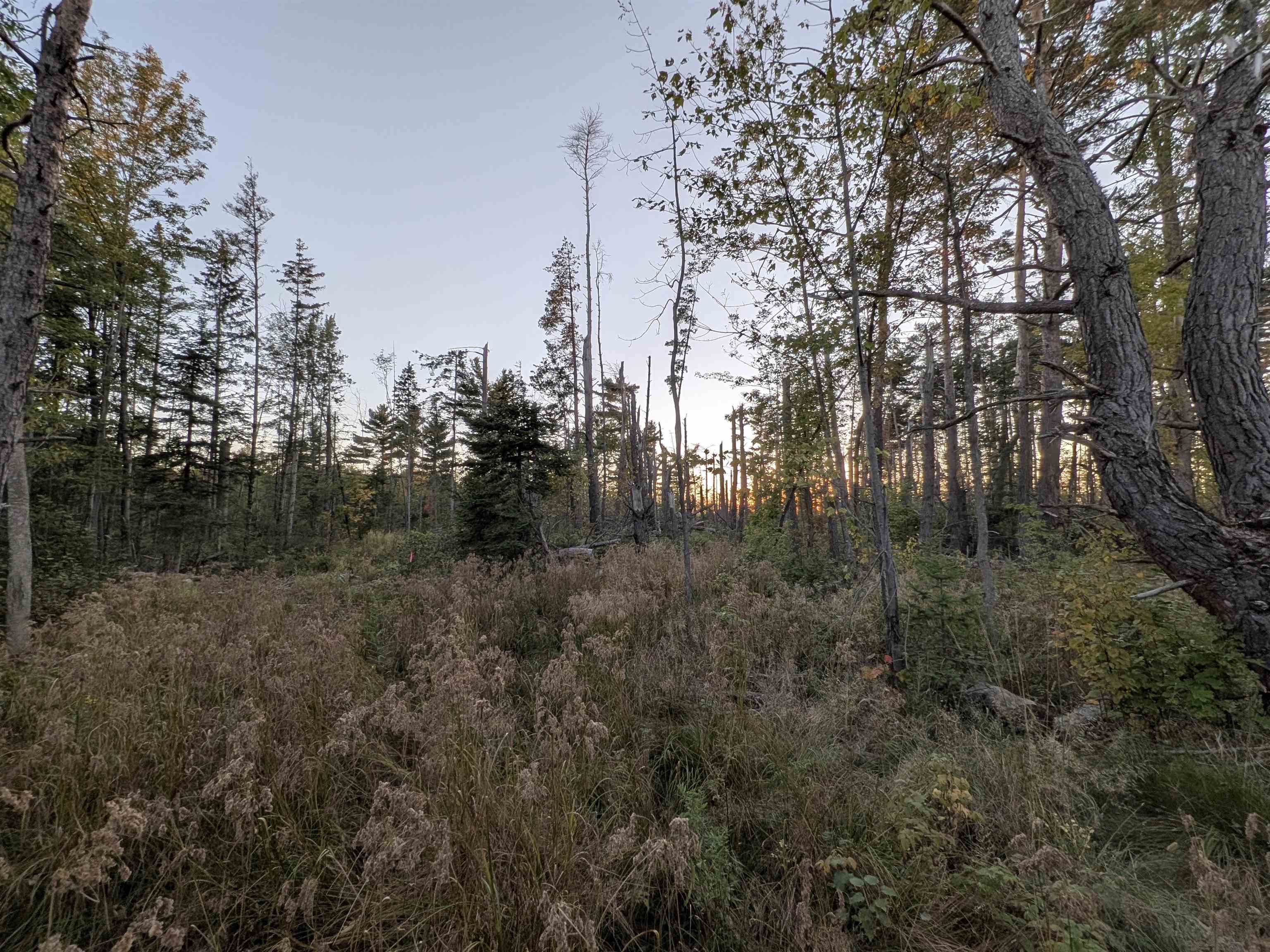 9.58 Acres on Peterson Hill Rd Bayfield WI 54814 6121365 image2