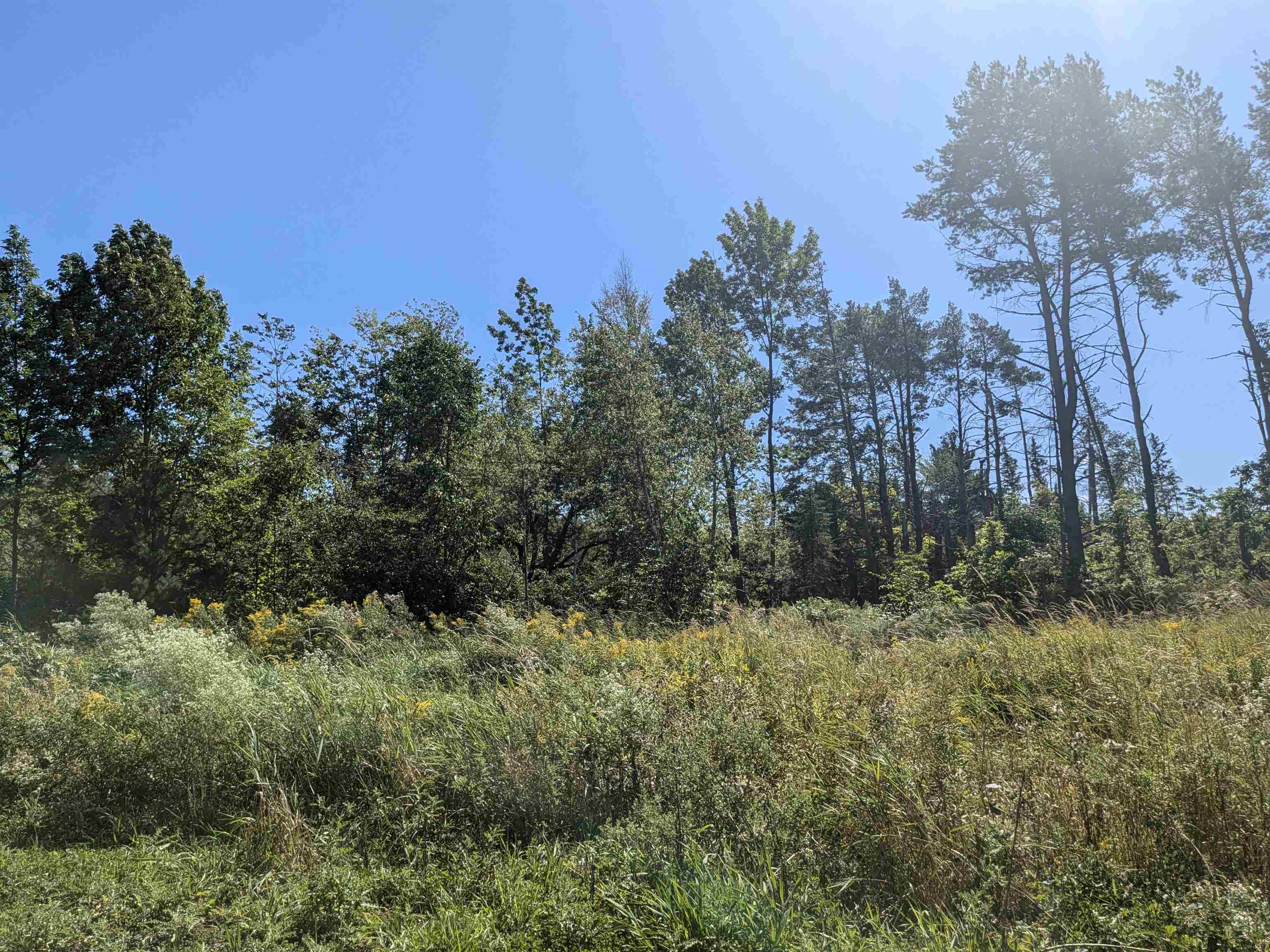 9.58 Acres on Peterson Hill Rd Bayfield WI 54814 6121365 image5