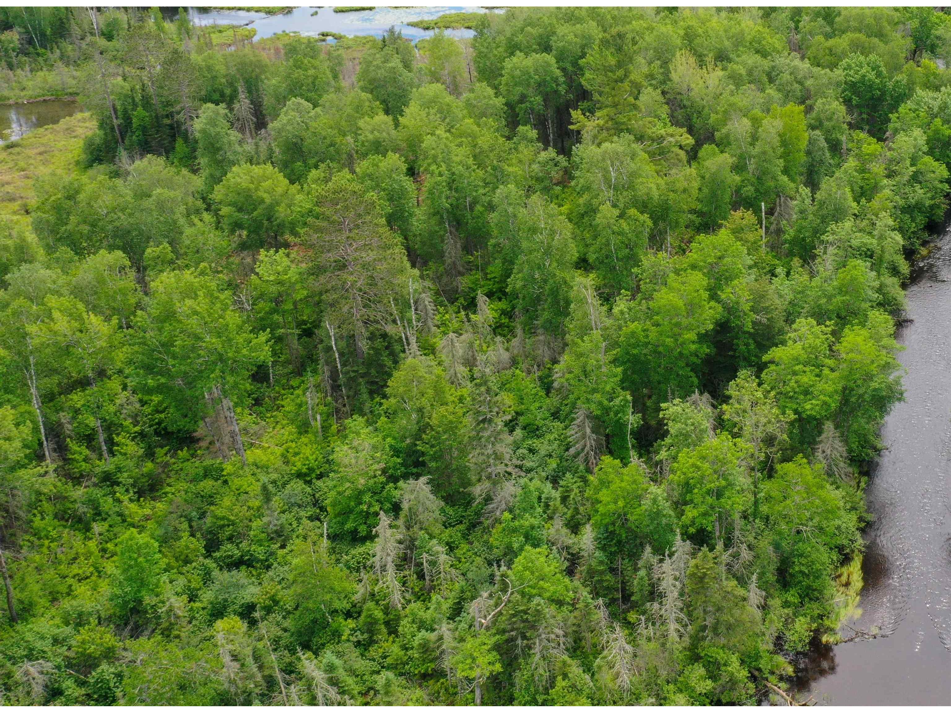 904x Pequaywan Lake Rd Duluth MN 55803 - Pequaywan 6114630 image2