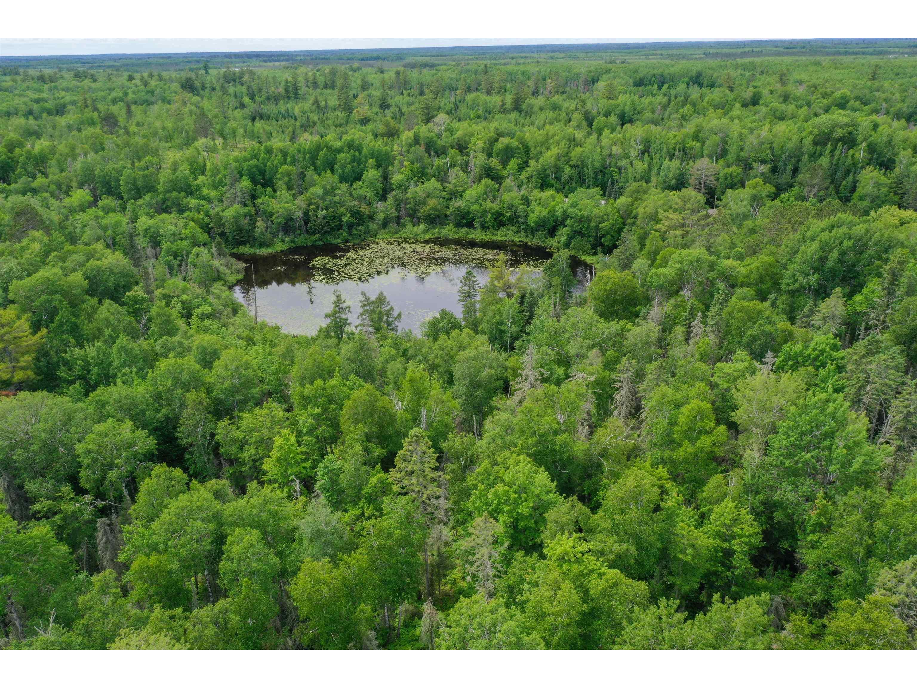 904x Pequaywan Lake Rd Duluth MN 55803 - Pequaywan 6114630 image6