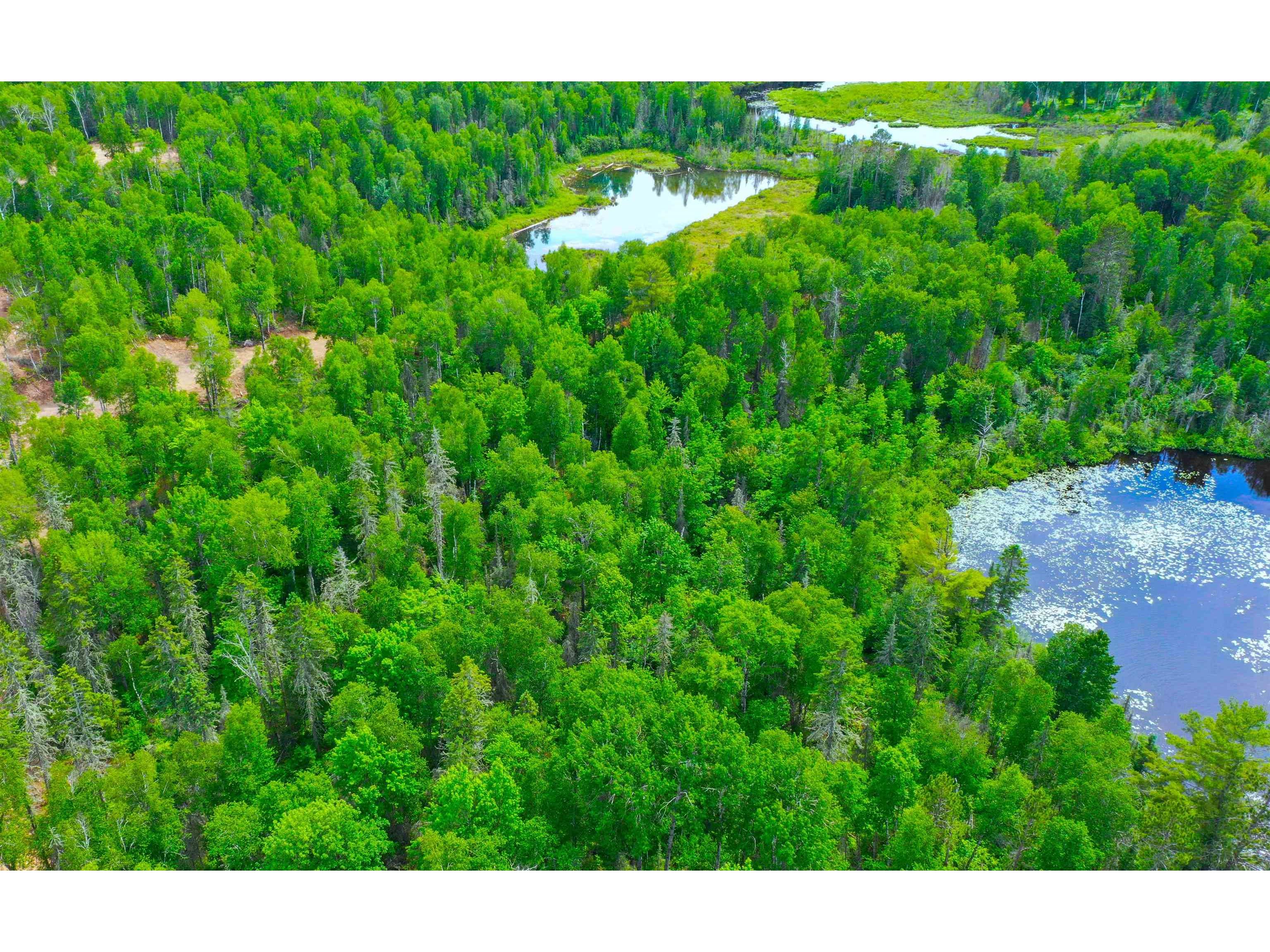 904x Pequaywan Lake Rd Duluth MN 55803 - Pequaywan 6114630 image9