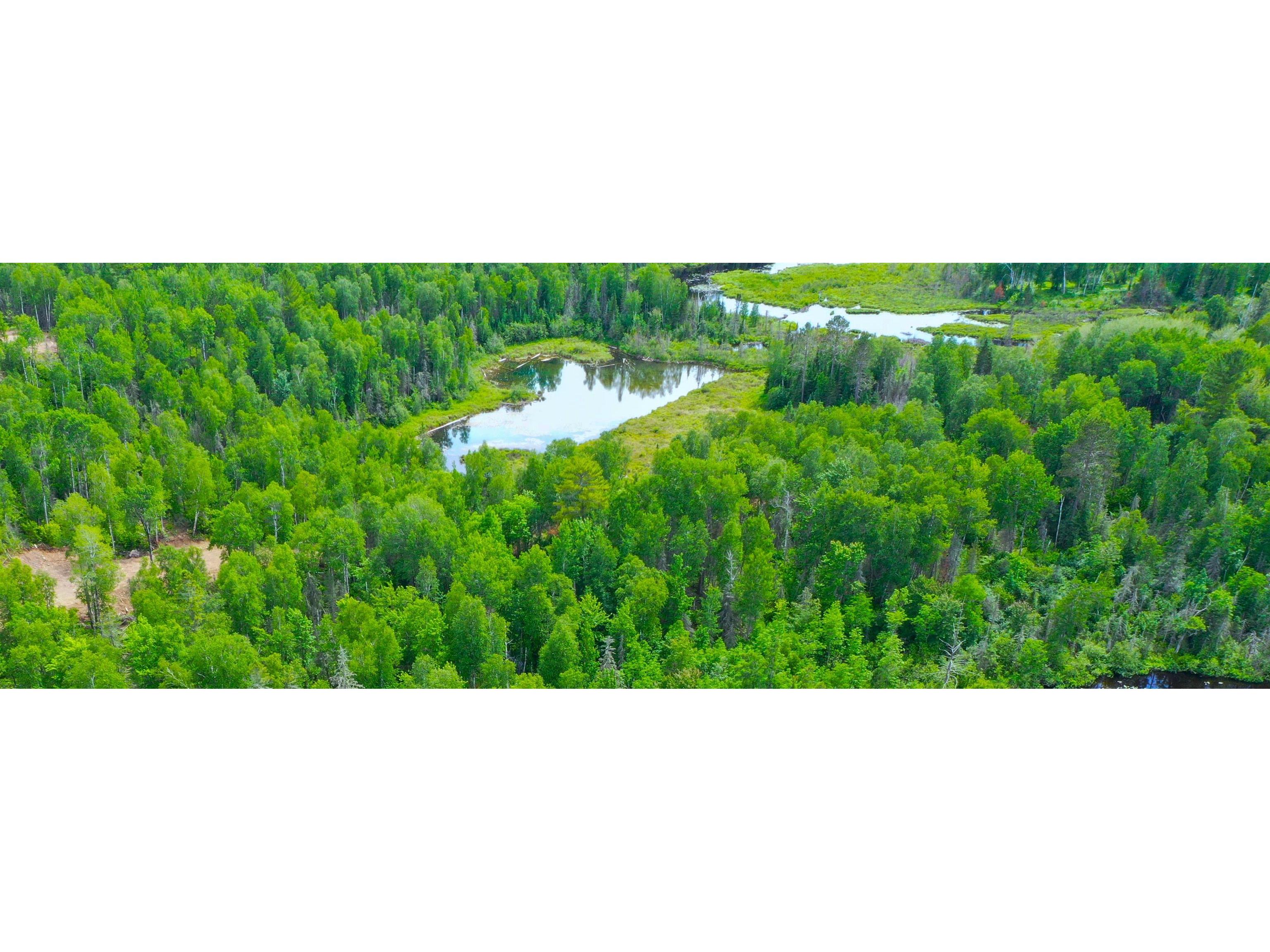 904x Pequaywan Lake Rd Duluth MN 55803 - Pequaywan 6114633 image3