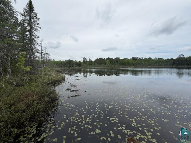 9064 Peppard Rd Britt MN 55710 - Arrowhead Lake 6125886 image12
