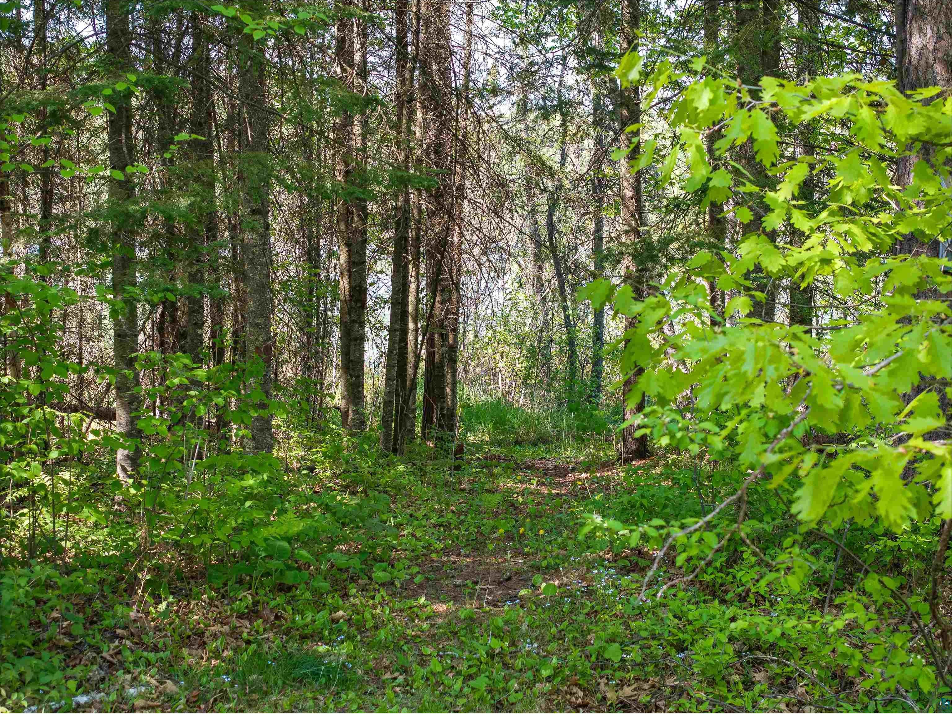 9064 Peppard Rd Britt MN 55710 - Arrowhead Lake 6125886 image14