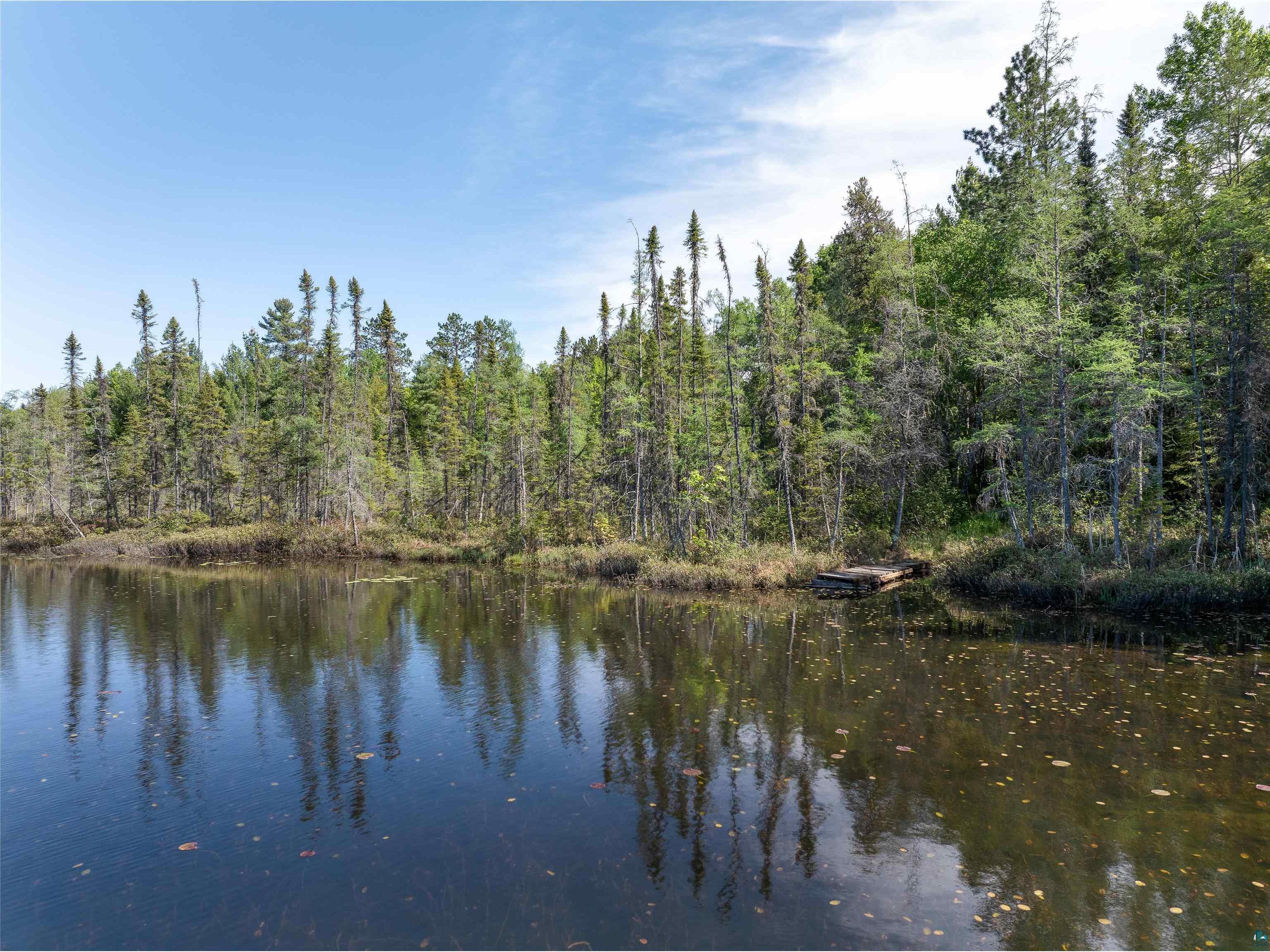 9064 Peppard Rd Britt MN 55710 - Arrowhead Lake 6125886 image2